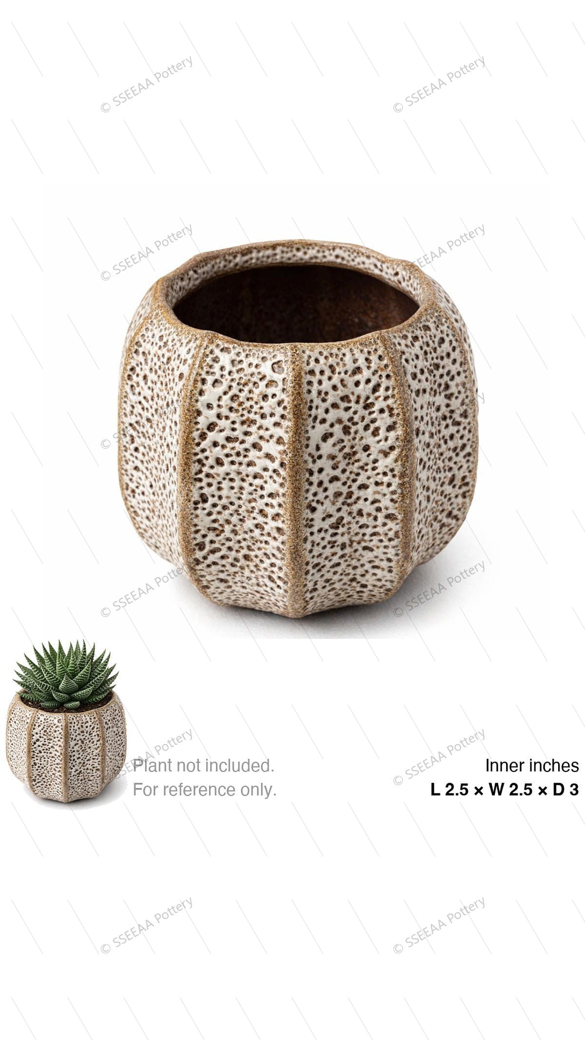 pottery_202601_texture_21 · L2.5 W2.5 H3