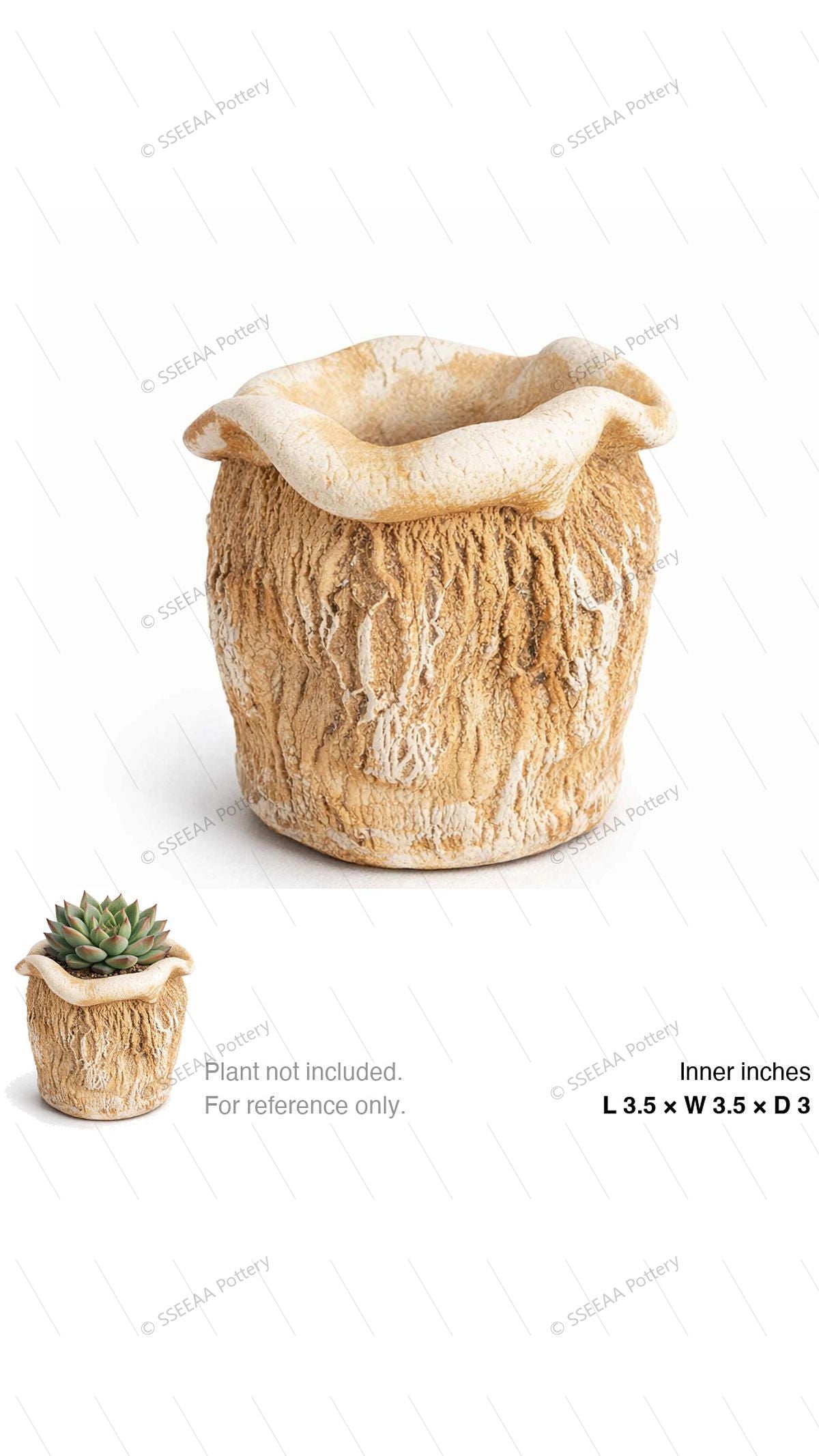 pottery_202601_mushroom_4 · L3.5 W3.5 H3