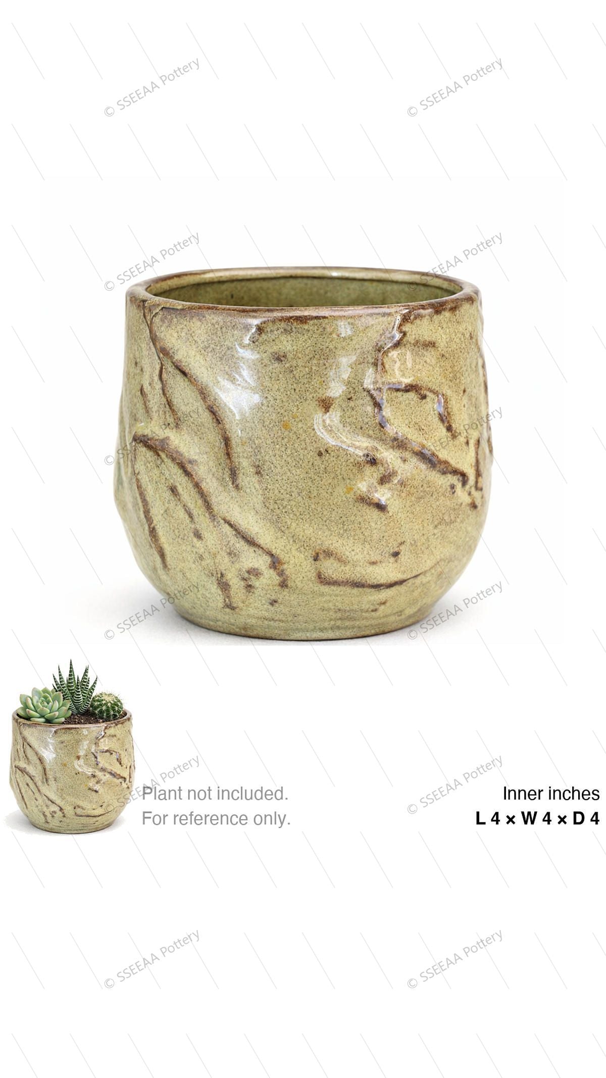 pottery_202601_plants_9 · L4 W4 H4