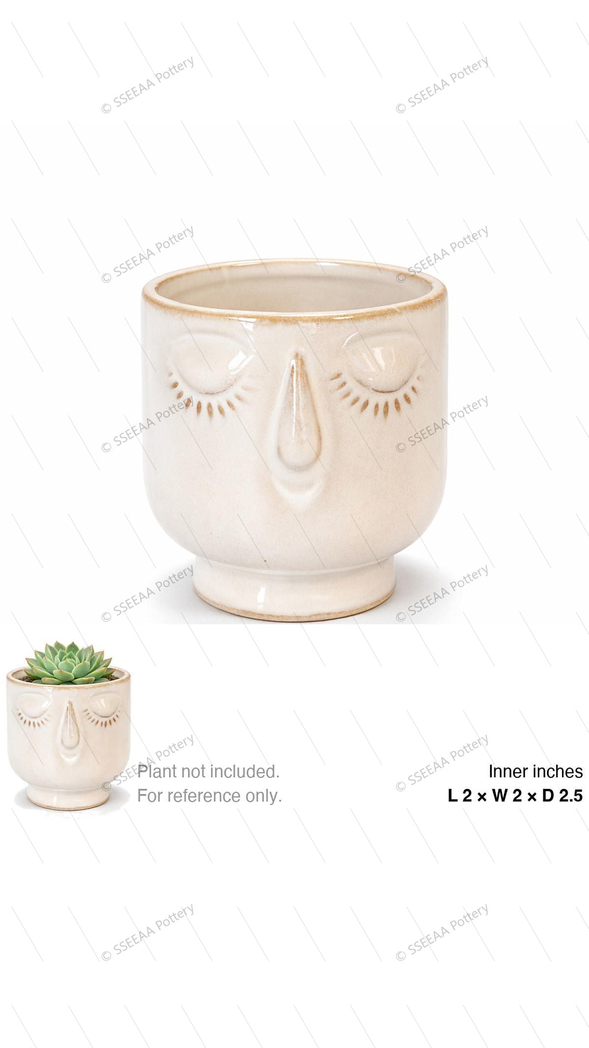 pottery_202601_funky_2 · L2 W2 H2.5