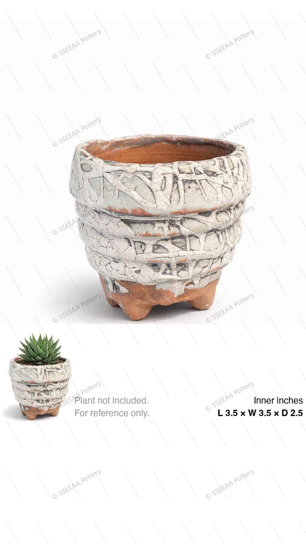 pottery_202601_forest_39 · L3.5 W3.5 H2.5