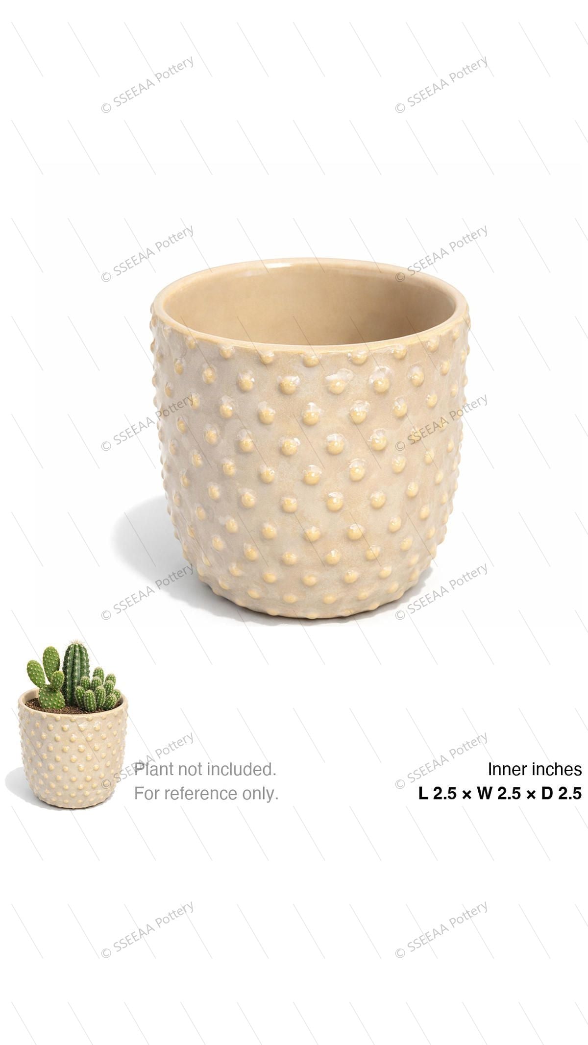 pottery_202601_texture_24 · L2.5 W2.5 H2.5