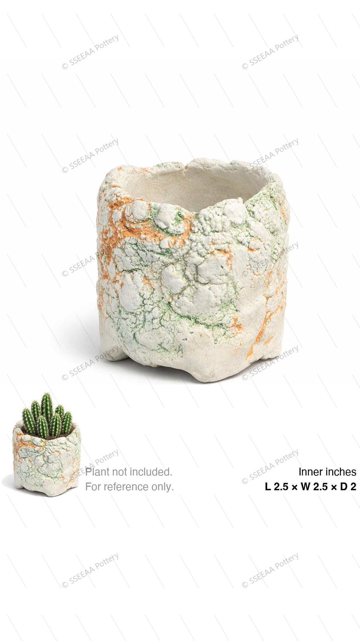 pottery_202601_brust_18 · L2.5 W2.5 H2
