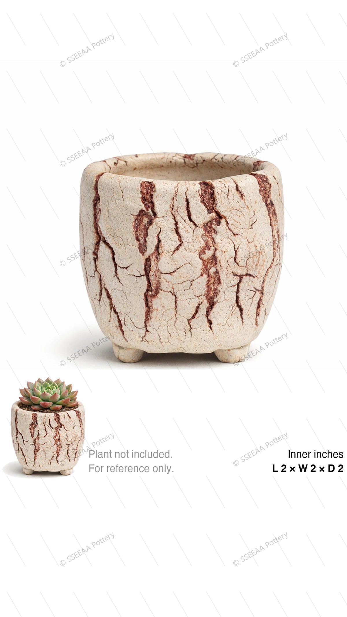 pottery_202601_brust_19 · L2 W2 H2
