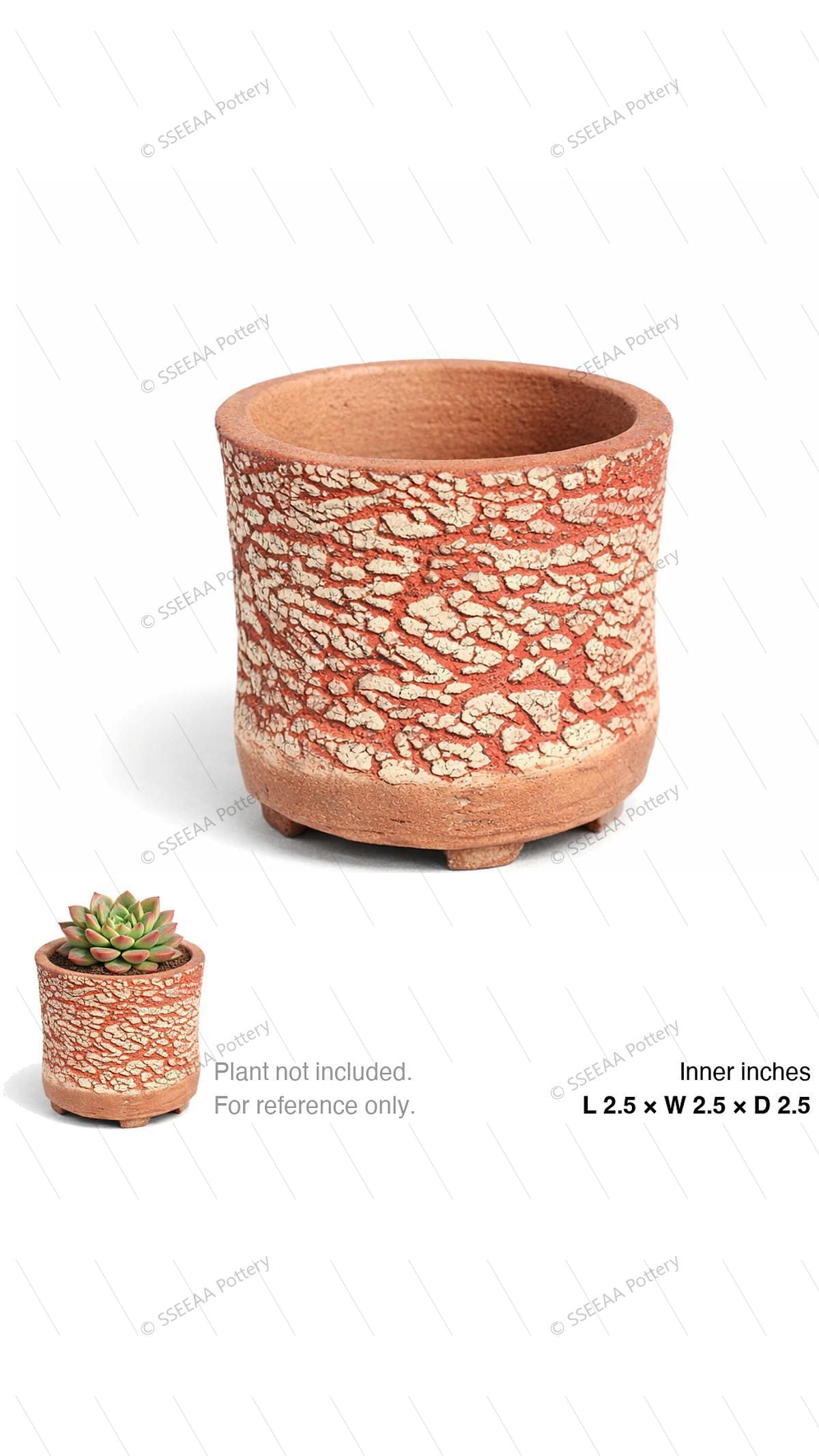 pottery_202601_brust_65 · L2.5 W2.5 H2.5