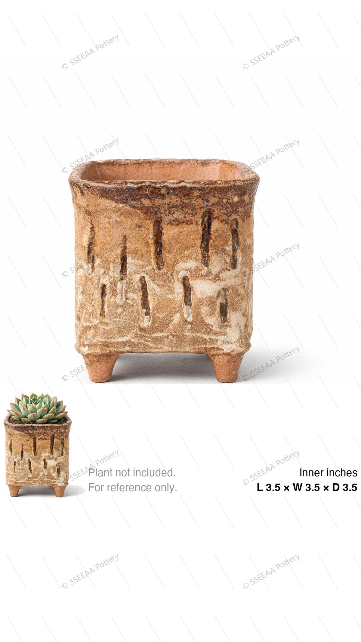 pottery_202601_forest_33 · L3.5 W3.5 H3.5