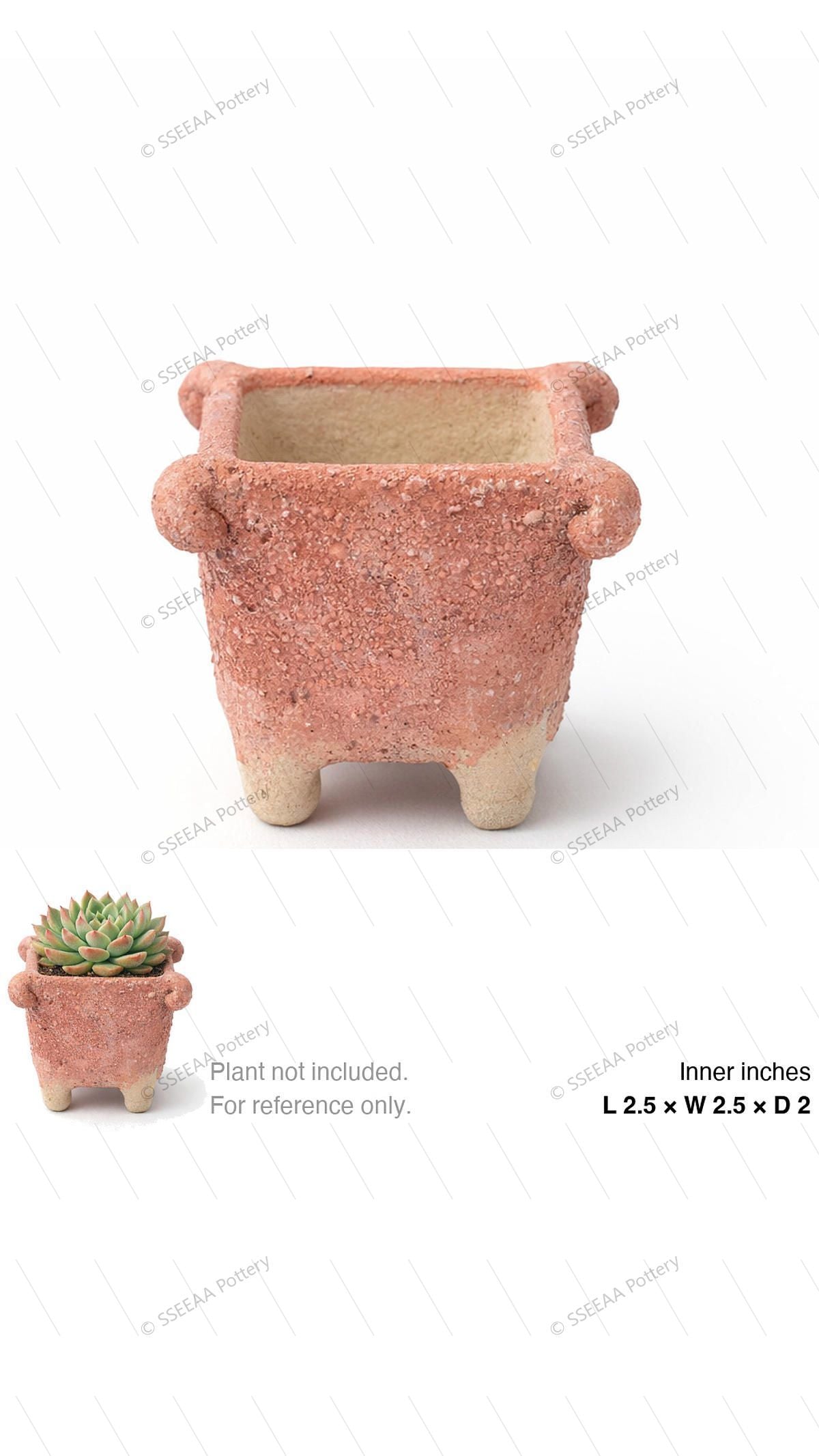 pottery_202601_funky_19 · L2.5 W2.5 H2