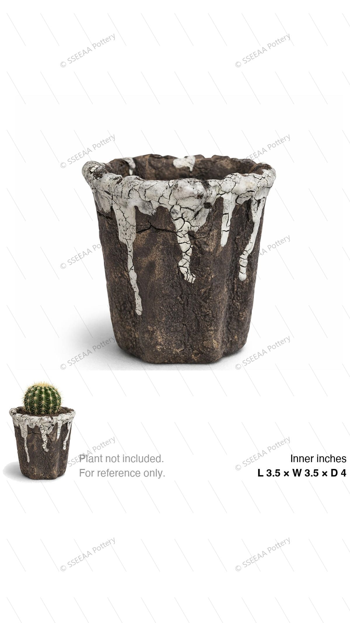 pottery_202603_forest_50 · L3.5 W3.5 H4
