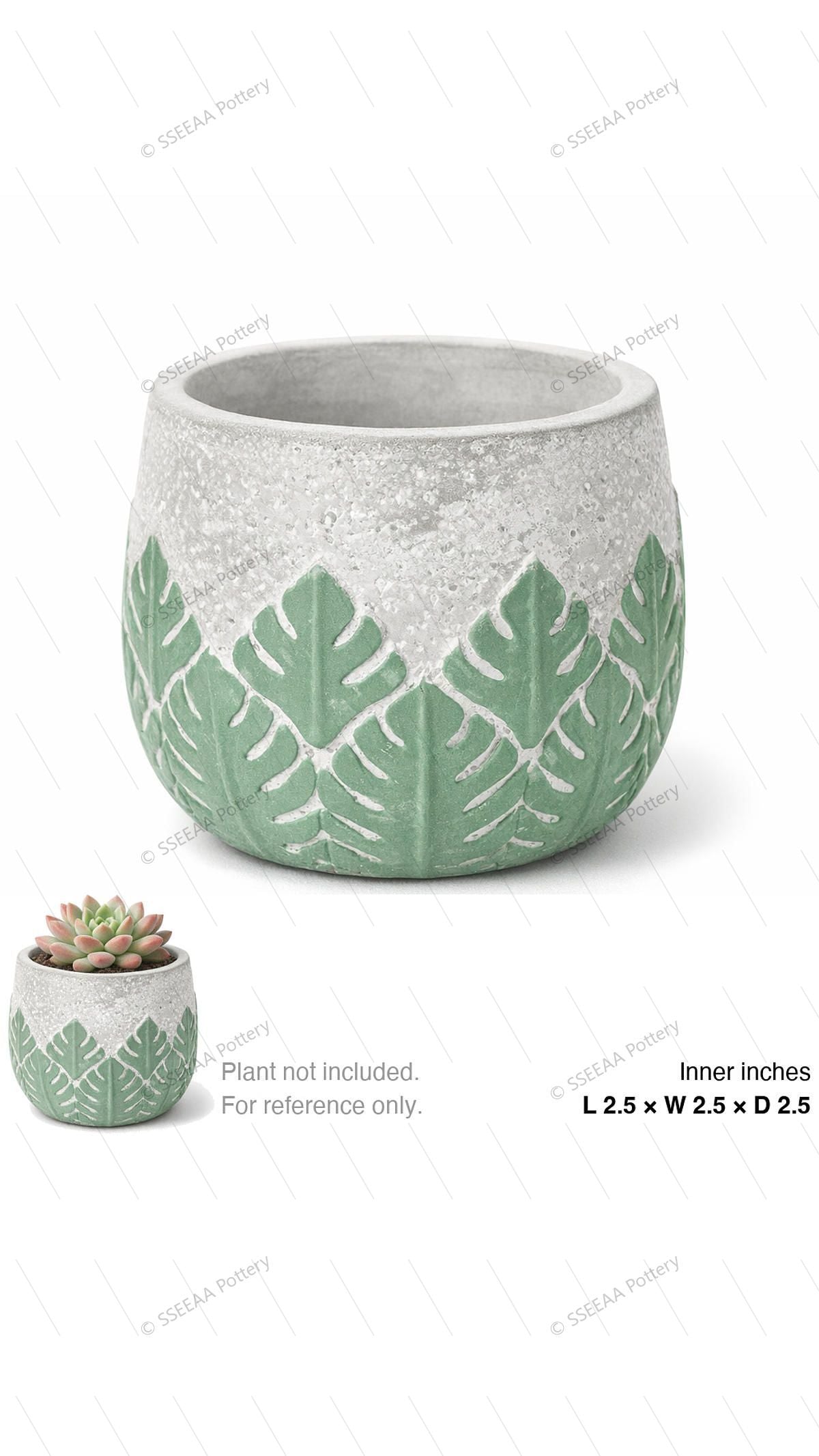 pottery_202601_plants_3 · L2.5 W2.5 H2.5