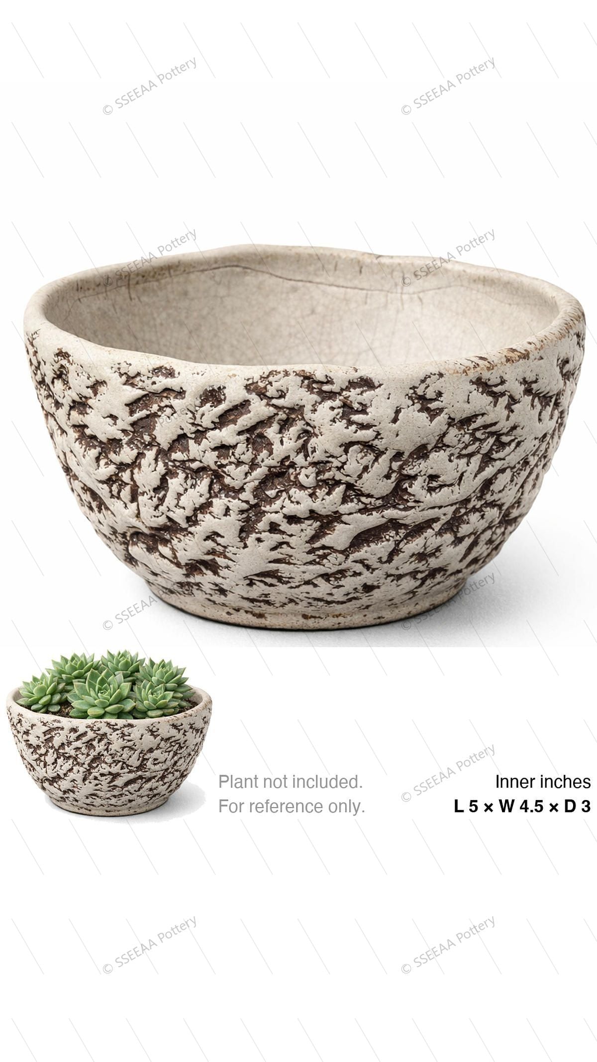 pottery_202601_forest_31 · L5 W4.5 H3