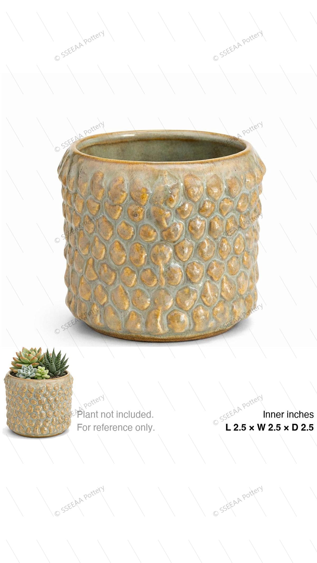 pottery_202601_scales_50 · L2.5 W2.5 H2.5