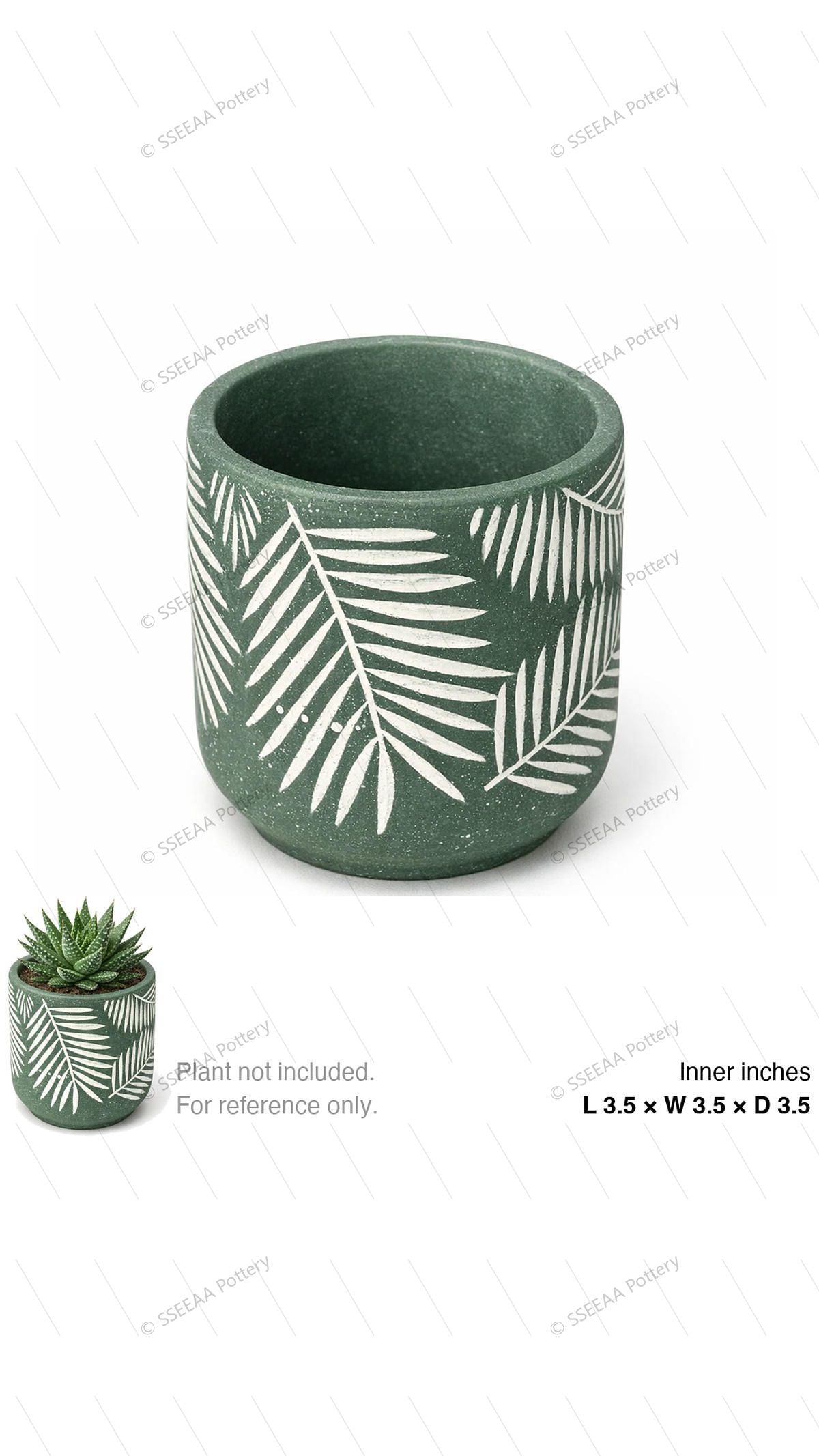 pottery_202601_plants_2 · L3.5 W3.5 H3.5