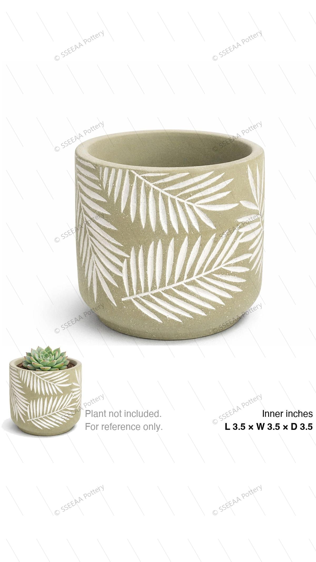 pottery_202601_plants_1 · L3.5 W3.5 H3.5