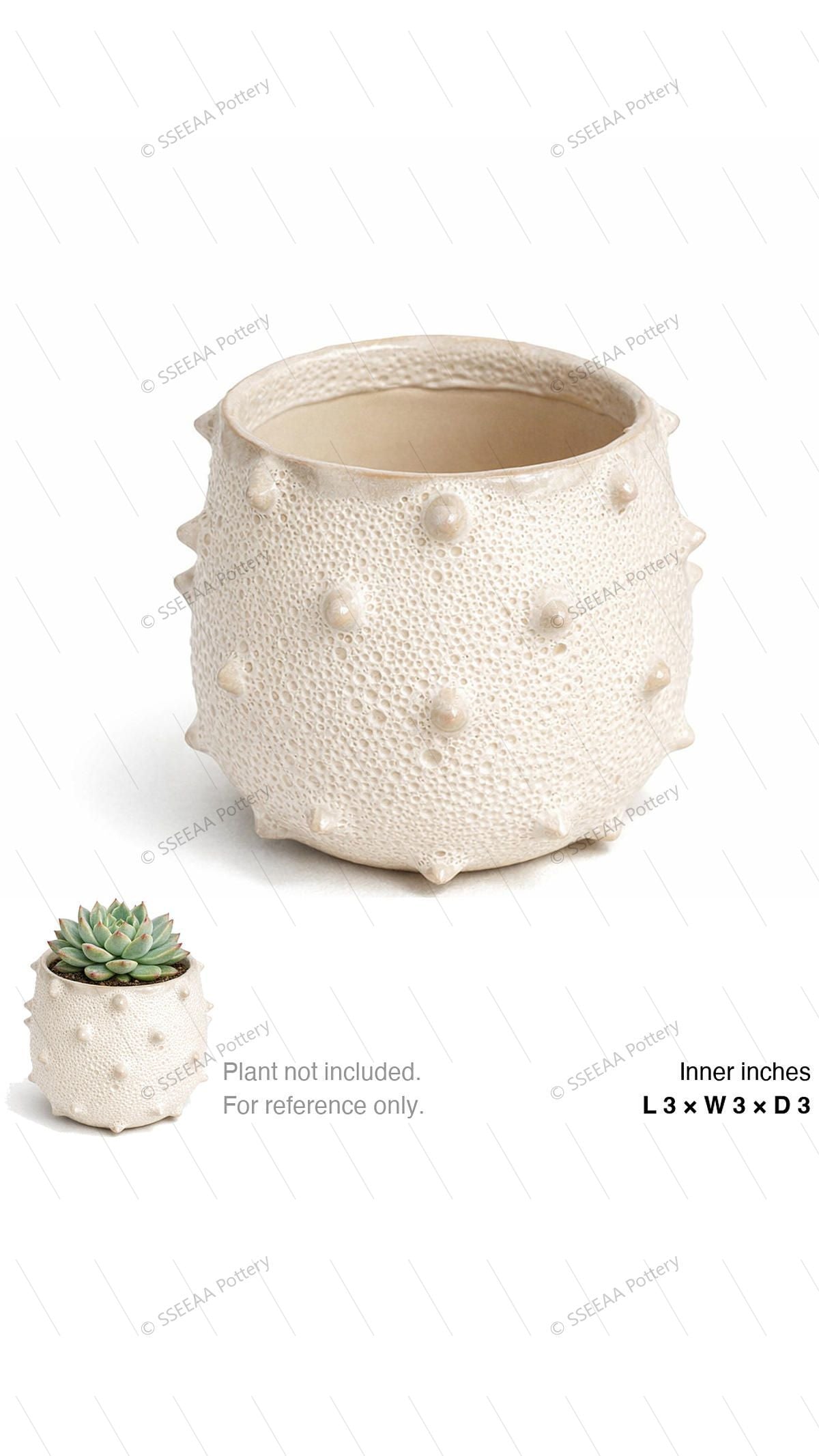 pottery_202601_texture_23 · L3 W3 H3