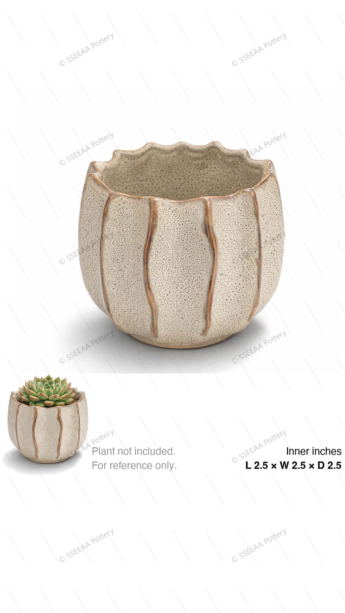 pottery_202601_texture_19 · L2.5 W2.5 H2.5