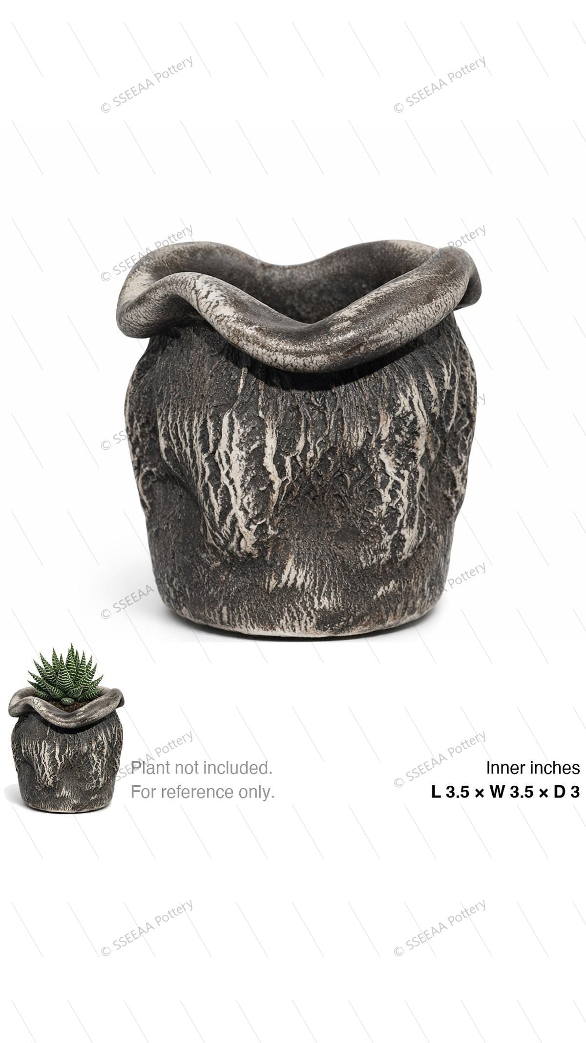 pottery_202601_mushroom_3 · L3.5 W3.5 H3