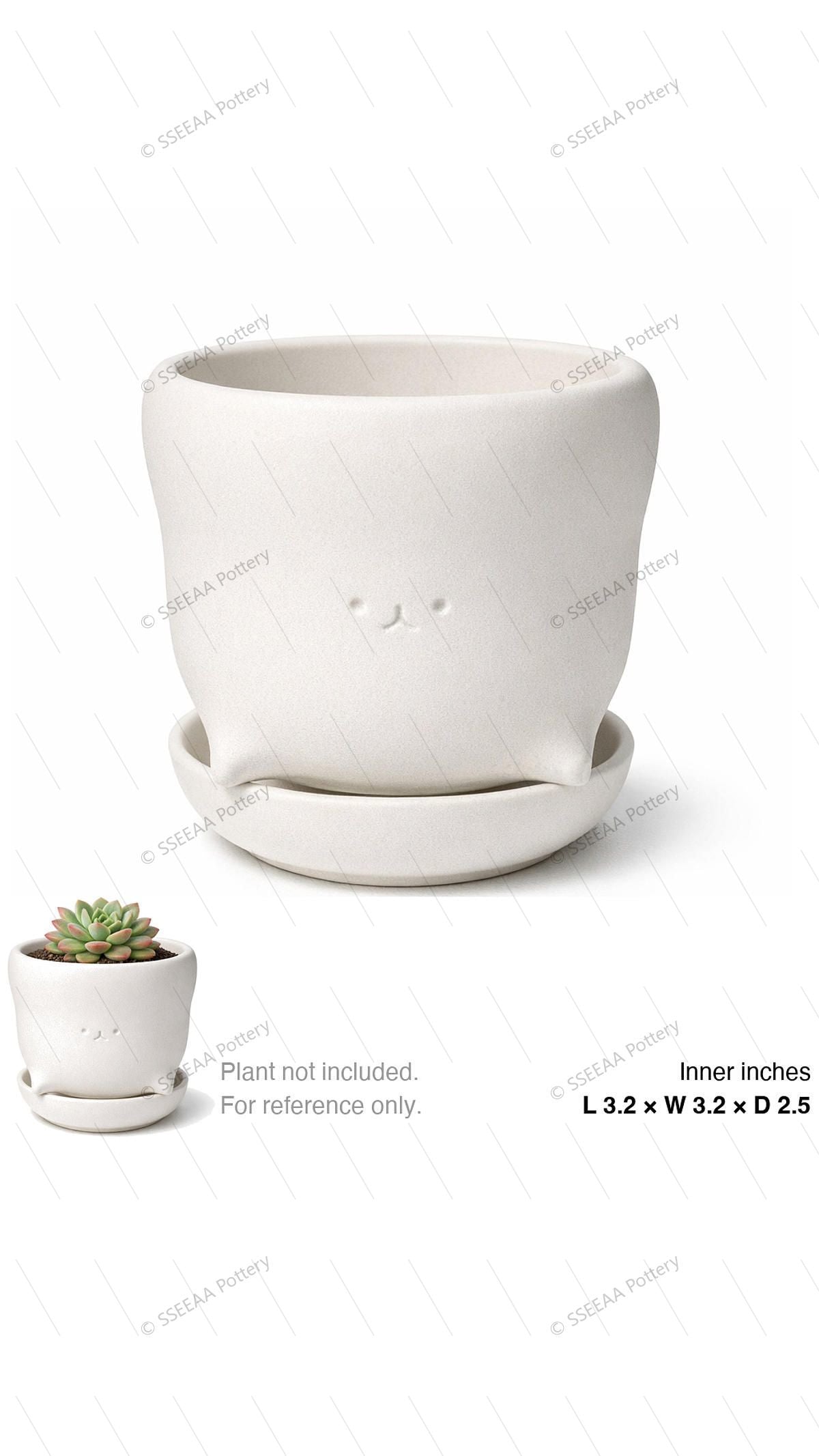 pottery_202601_funky_5 · L3.2 W3.2 H2.5