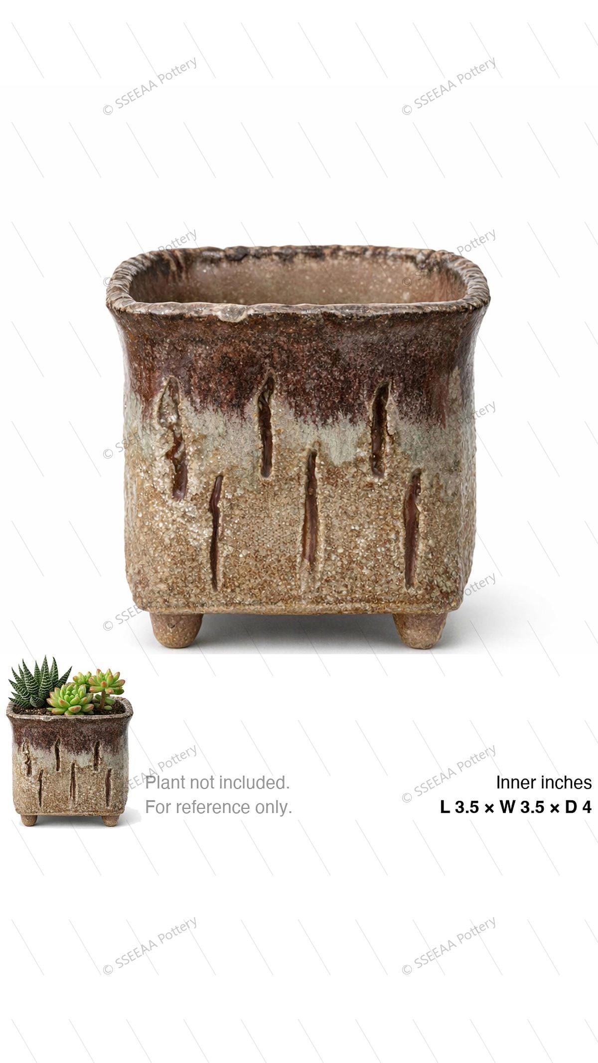 pottery_202601_forest_35 · L3.5 W3.5 H4