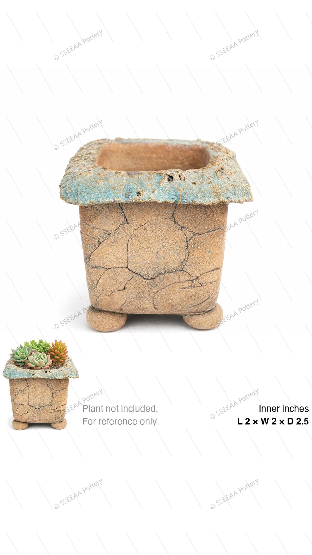 pottery_202601_forest_30 · L2 W2 H2.5