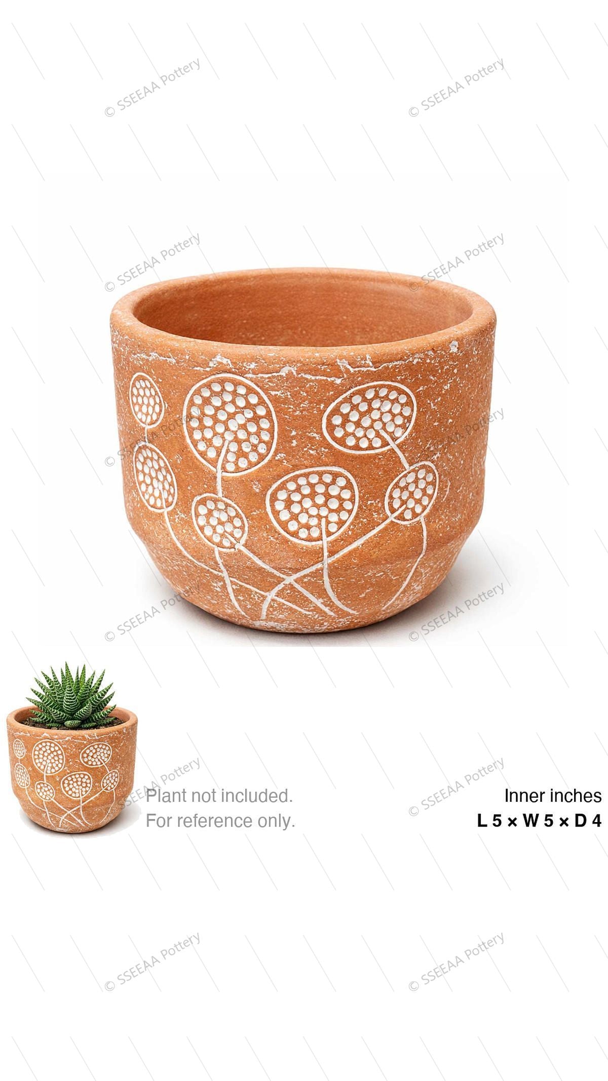 pottery_202601_plants_6 · L5 W5 H4