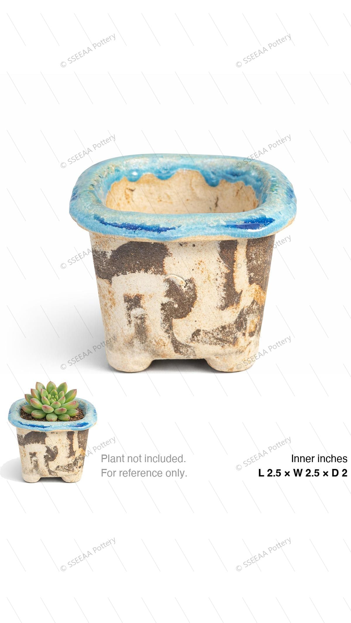 pottery_202601_forest_7 · L2.5 W2.5 H2