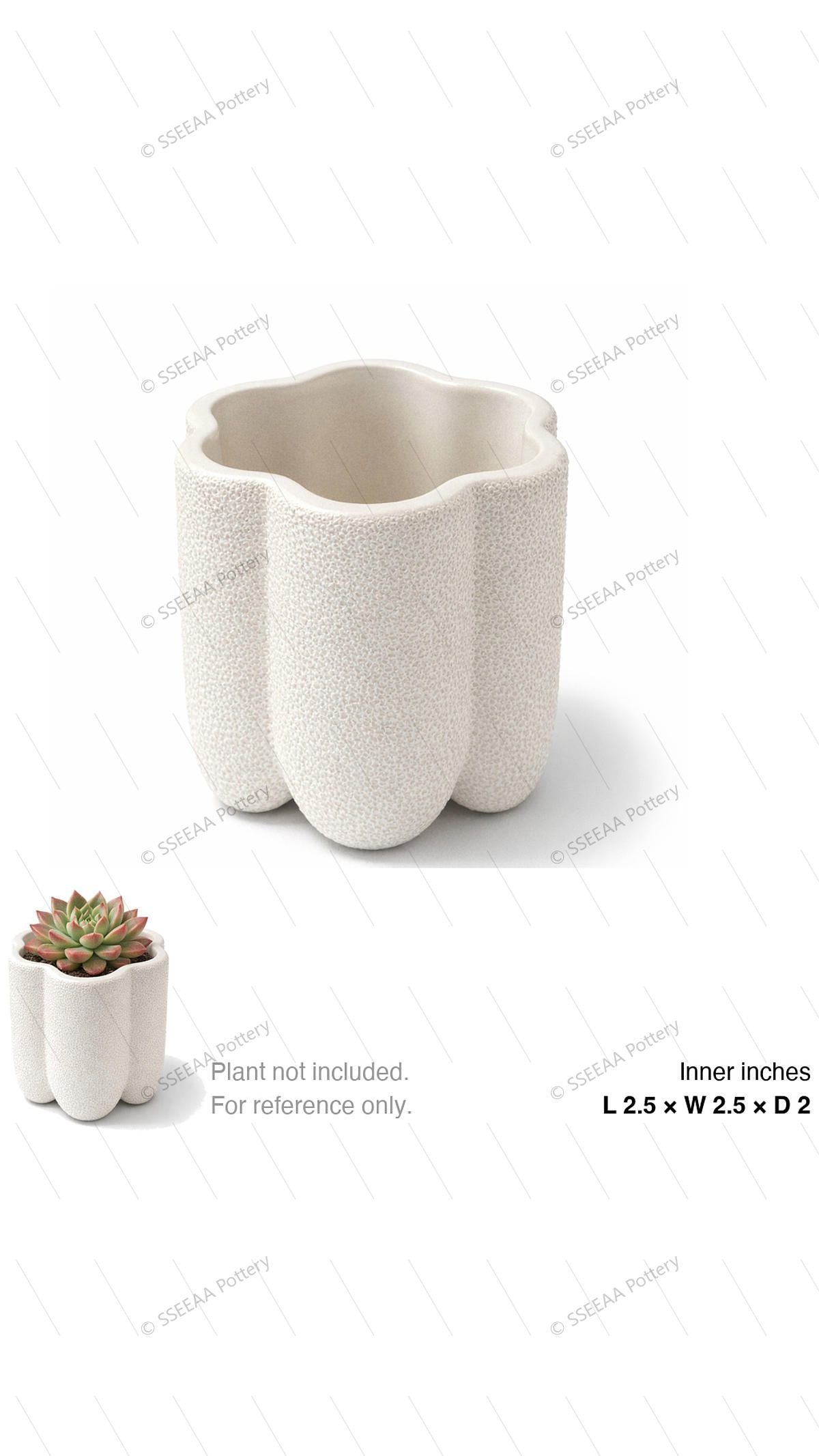 pottery_202601_scales_33 · L2.5 W2.5 H2