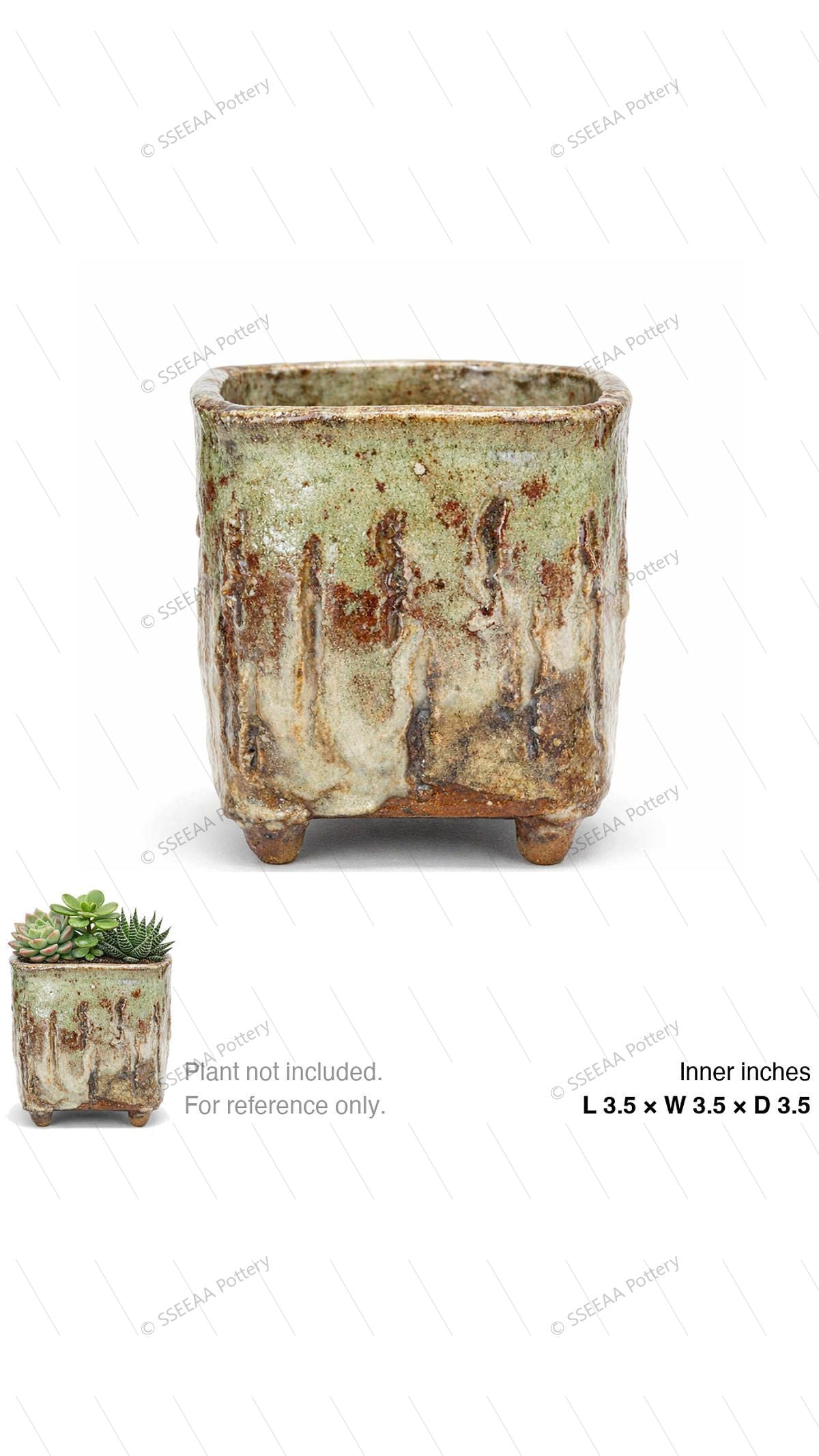 pottery_202601_forest_34 · L3.5 W3.5 H3.5