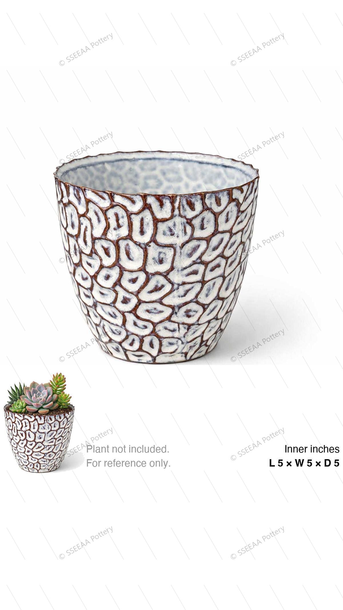 pottery_202601_texture_40 · L5 W5 H5