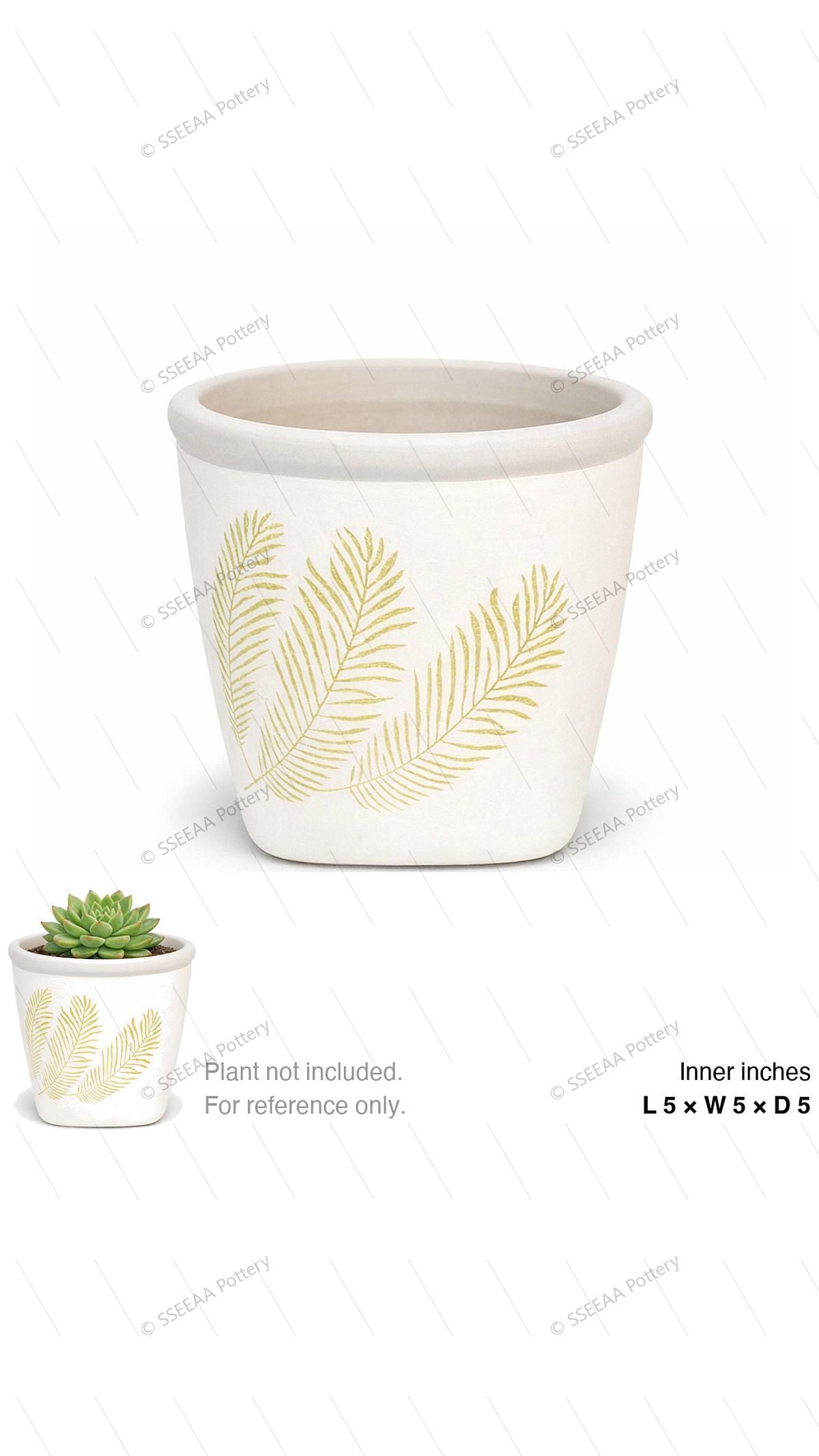 pottery_202601_plants_4 · L5 W5 H5