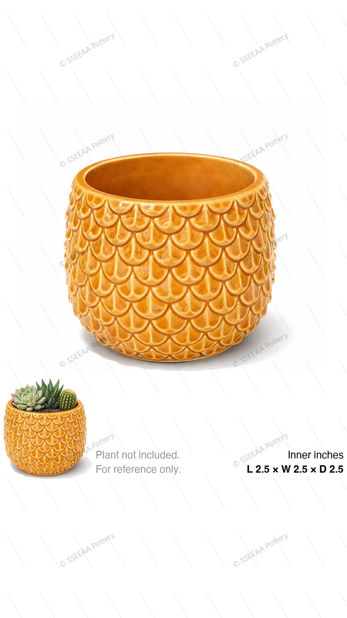 pottery_202601_texture_20 · L2.5 W2.5 H2.5