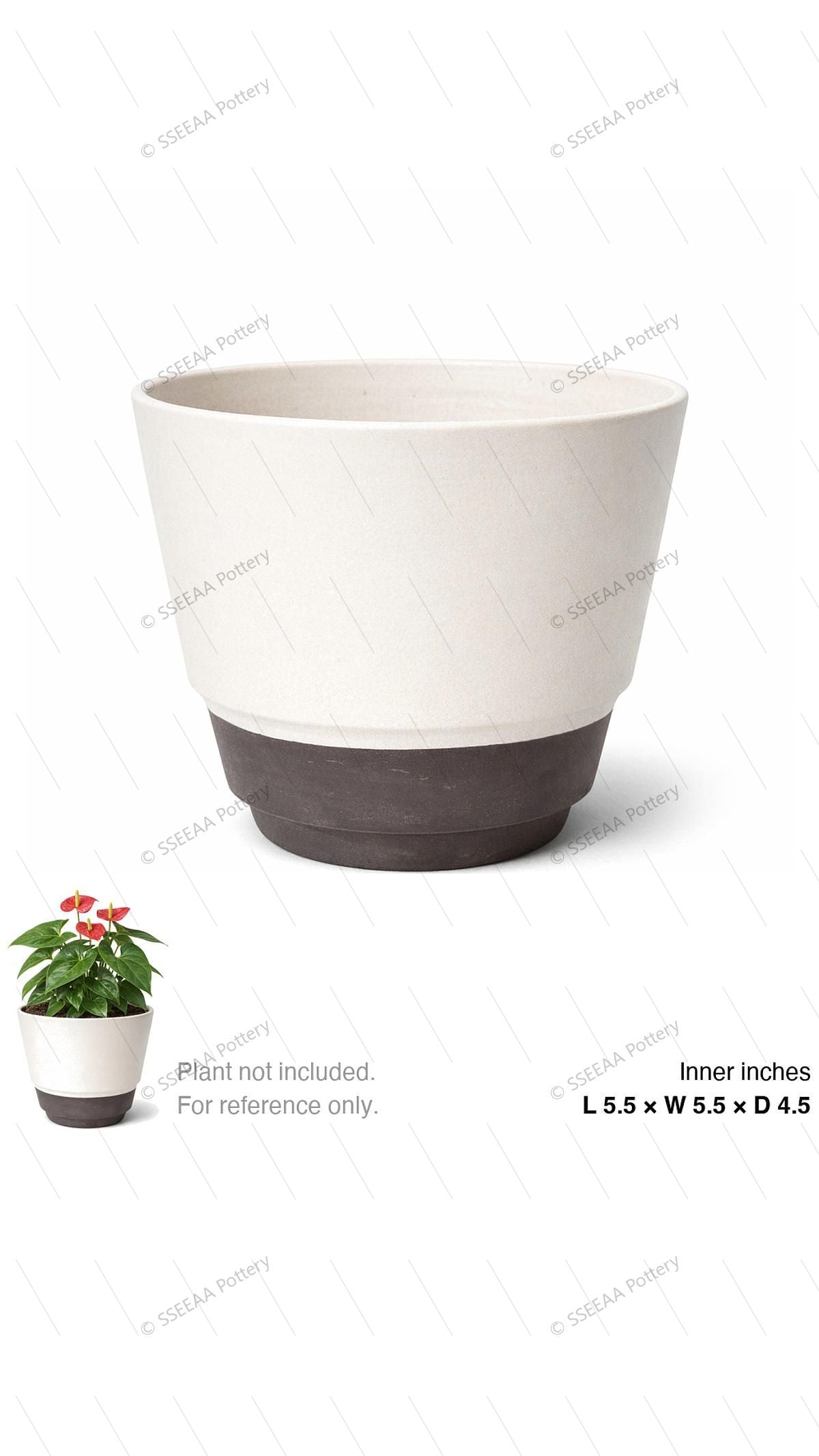 pottery_202601_mix_24 · L5.5 W5.5 H4.5