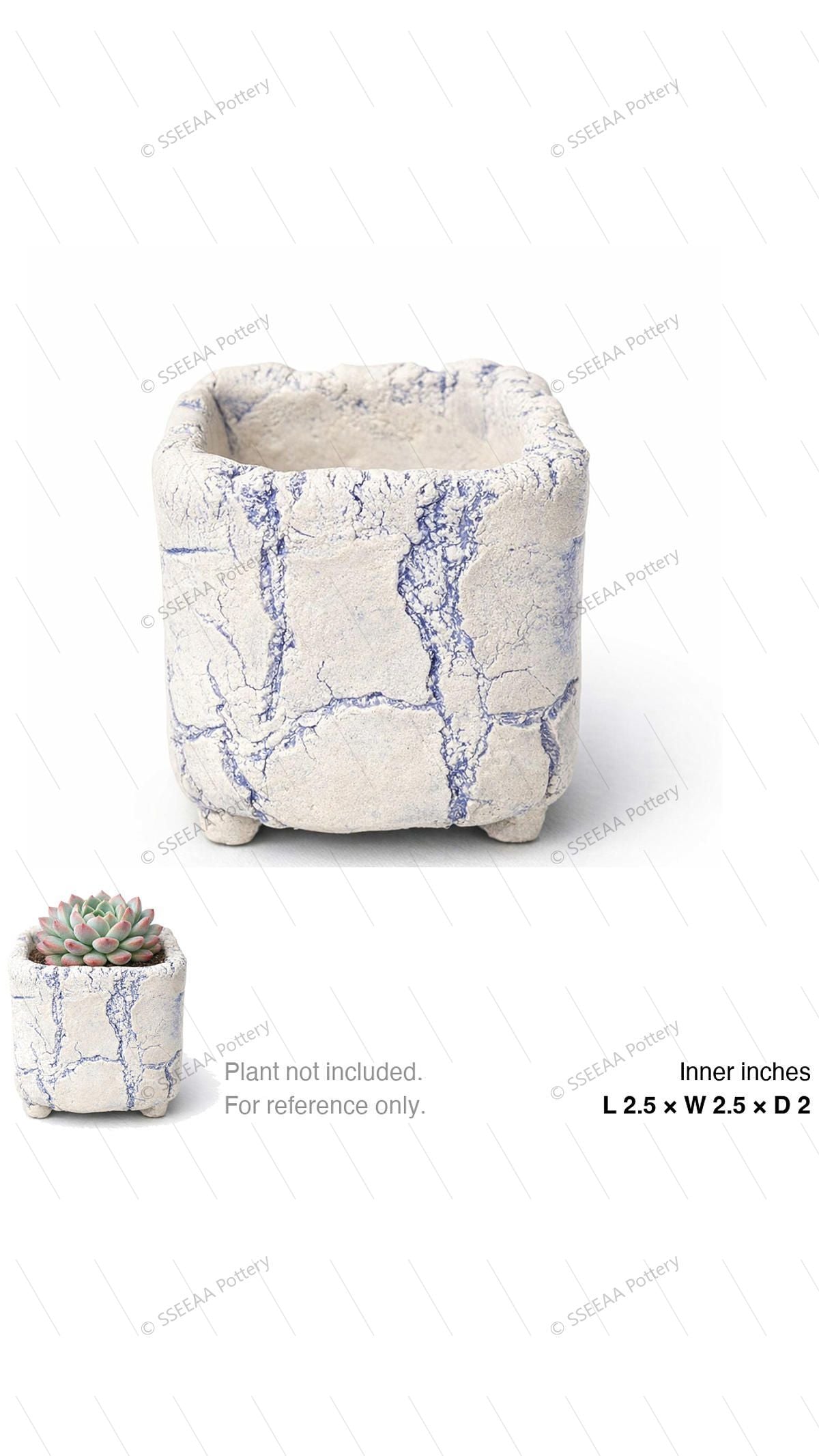 pottery_202601_brust_24 · L2.5 W2.5 H2