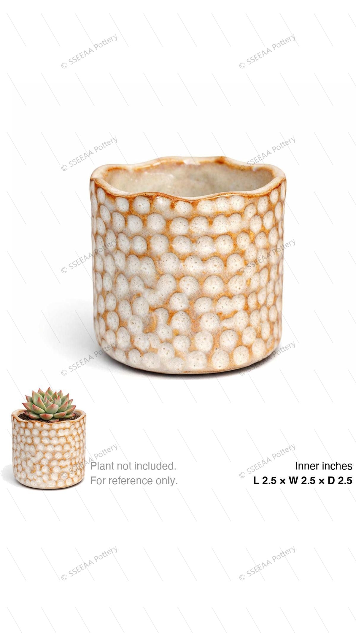 pottery_202601_scales_20x2 · L2.5 W2.5 H2.5