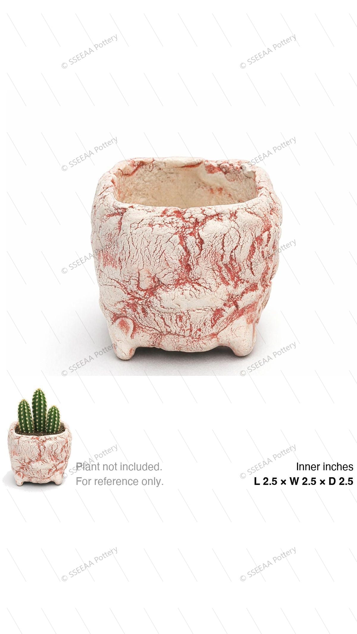 pottery_202601_brust_9 · L2.5 W2.5 H2.5