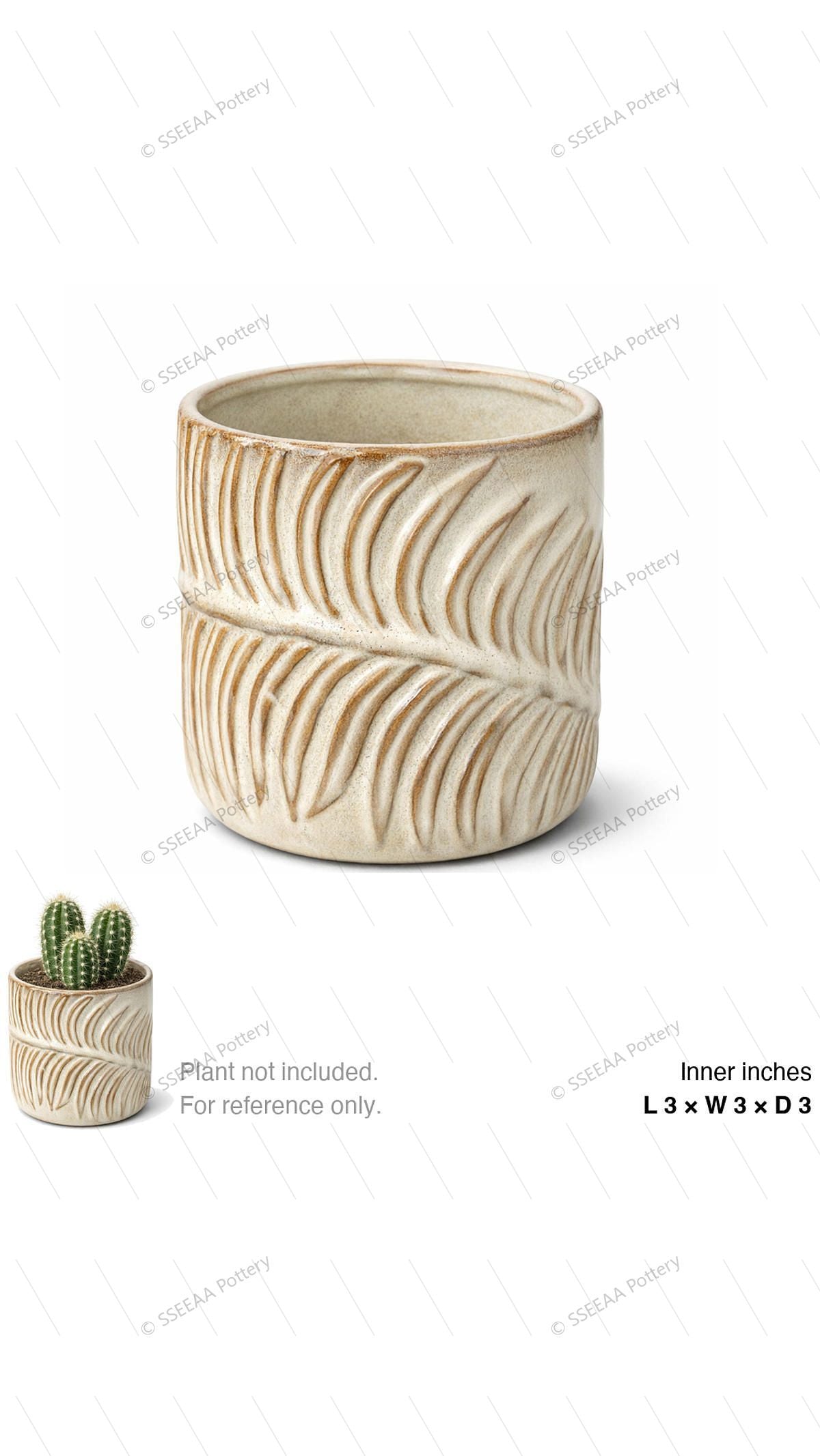 pottery_202601_plants_7 · L3 W3 H3
