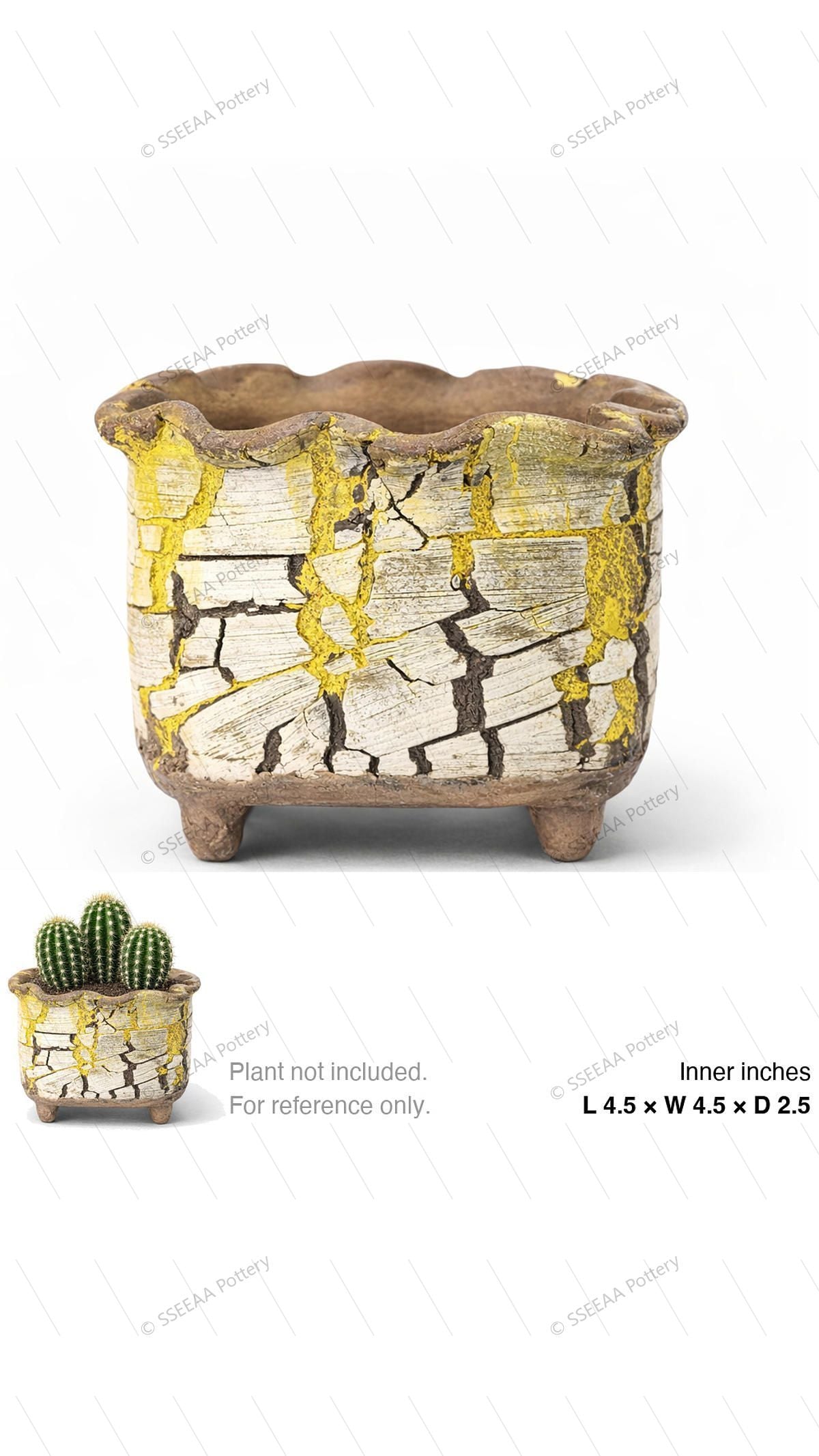 pottery_202601_brust_53 · L4.5 W4.5 H2.5