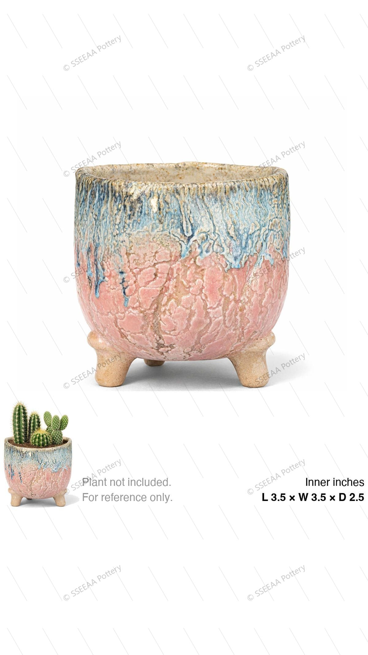 pottery_202601_brust_40 · L3.5 W3.5 H2.5
