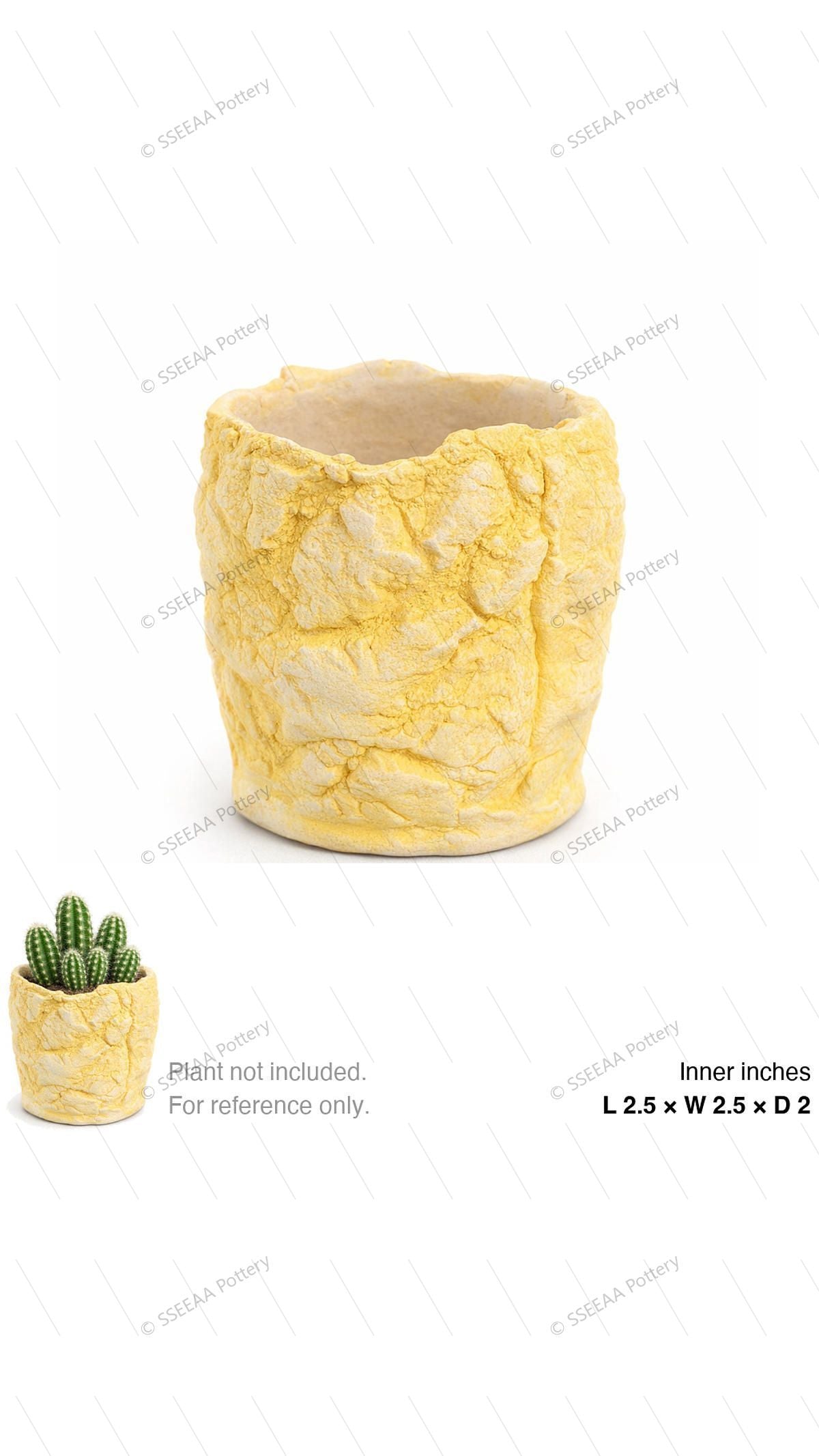 pottery_202601_brust_11 · L2.5 W2.5 H2