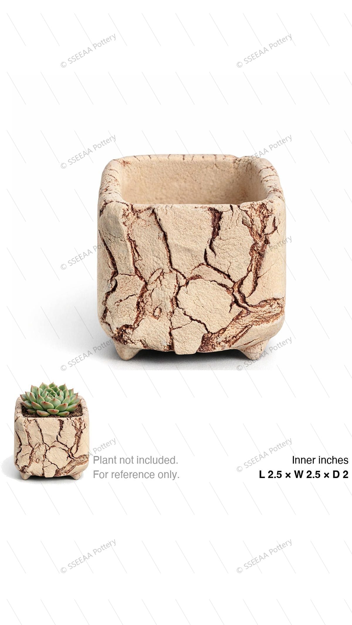 pottery_202601_brust_22 · L2.5 W2.5 H2