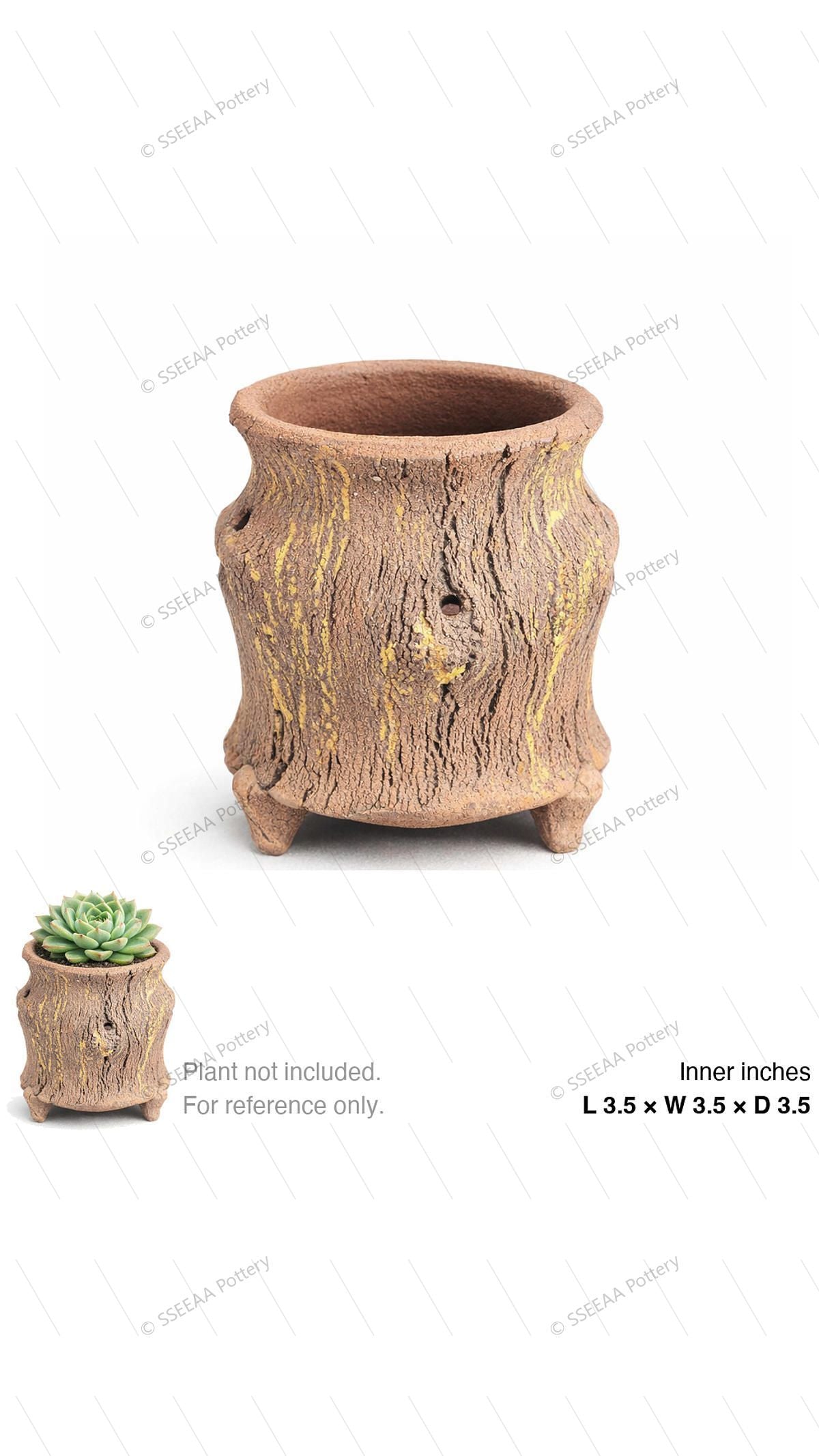 pottery_202601_brust_36 · L3.5 W3.5 H3.5