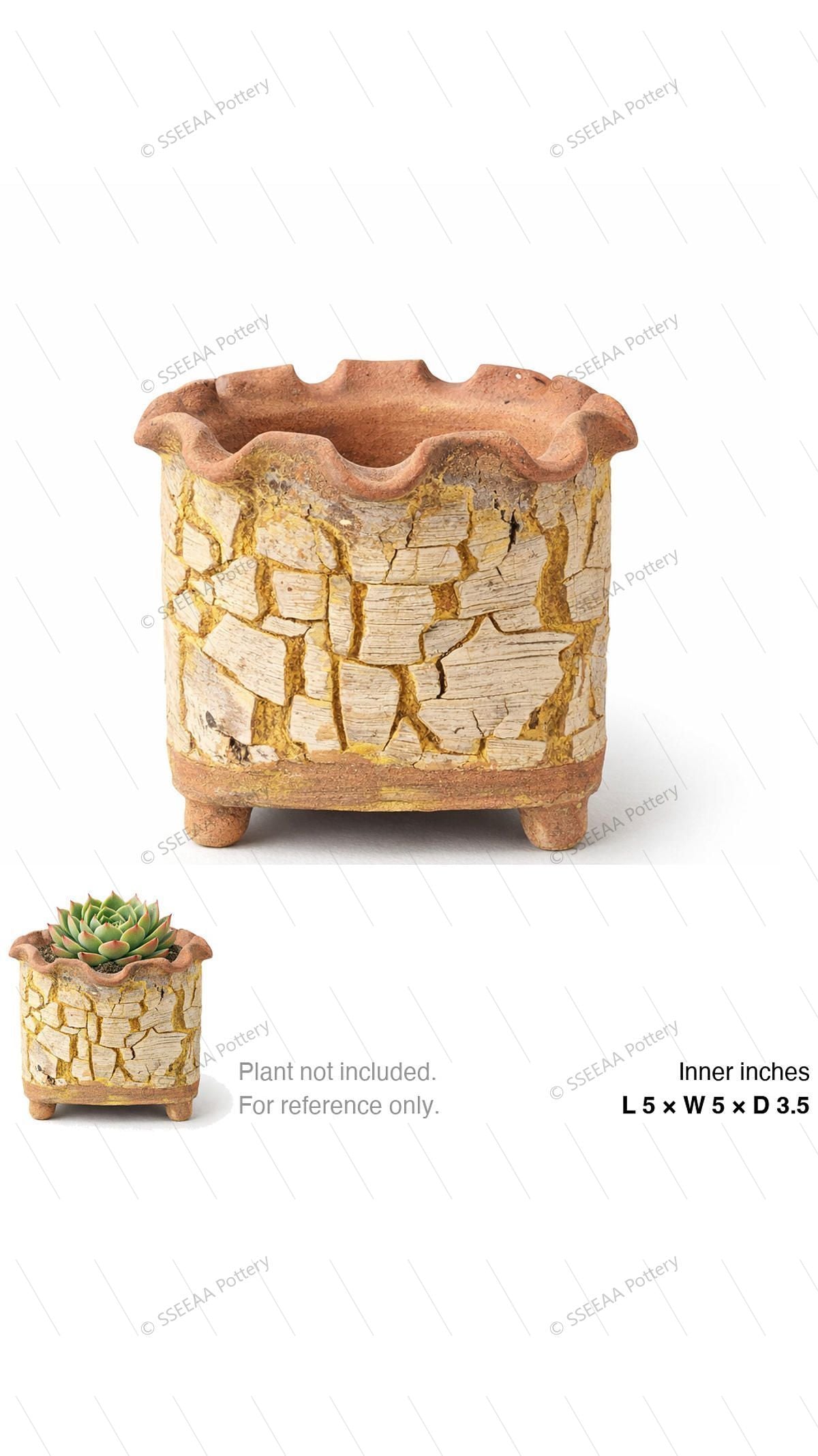 pottery_202601_brust_49 · L5 W5 H3.5