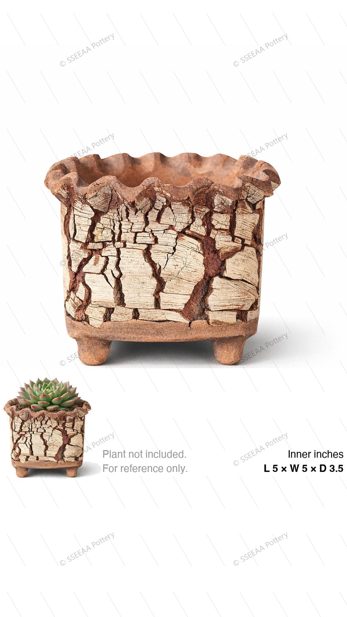 pottery_202601_brust_50 · L5 W5 H3.5
