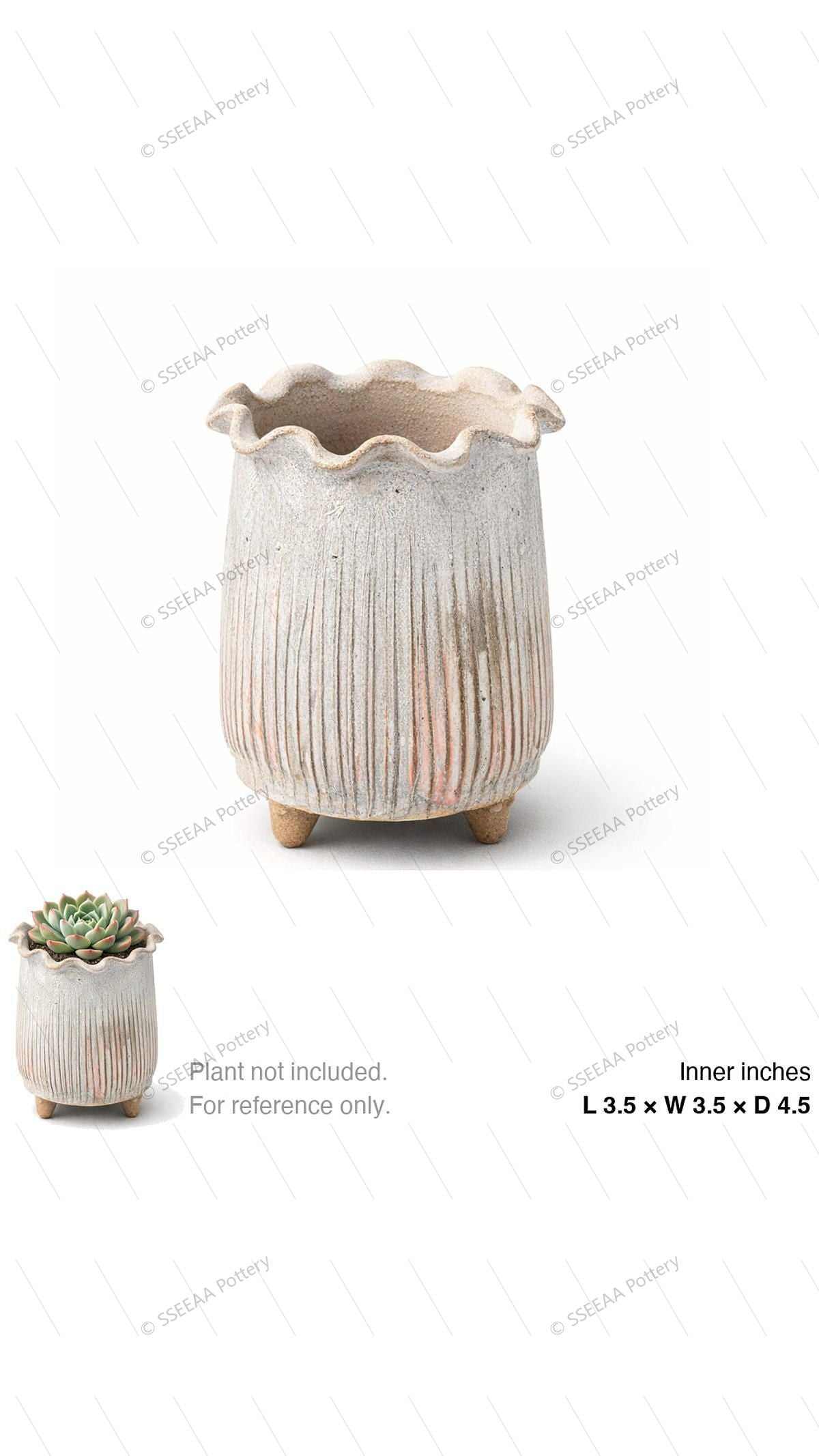 pottery_202601_forest_18 · L3.5 W3.5 H4.5