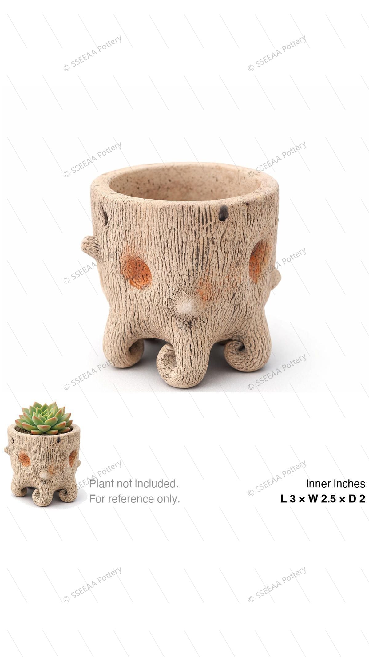 pottery_202601_forest_21 · L3 W2.5 H2