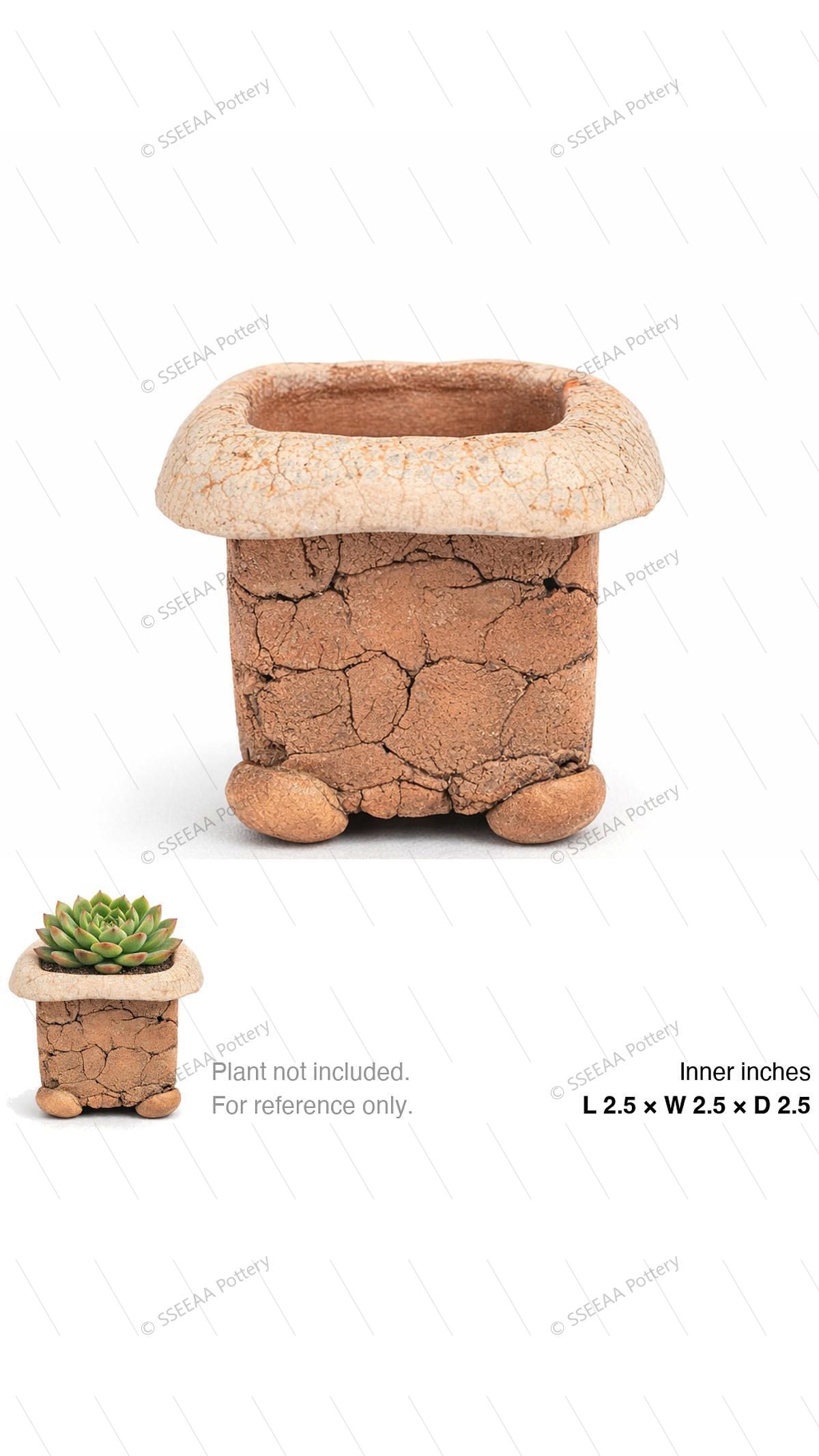 pottery_202601_forest_26 · L2.5 W2.5 H2.5