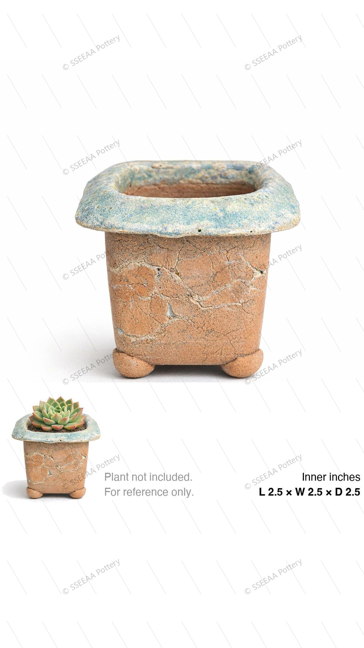 pottery_202601_forest_27 · L2.5 W2.5 H2.5