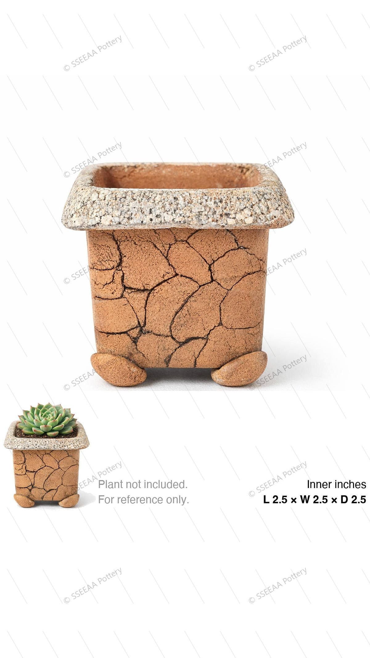 pottery_202601_forest_29 · L2.5 W2.5 H2.5