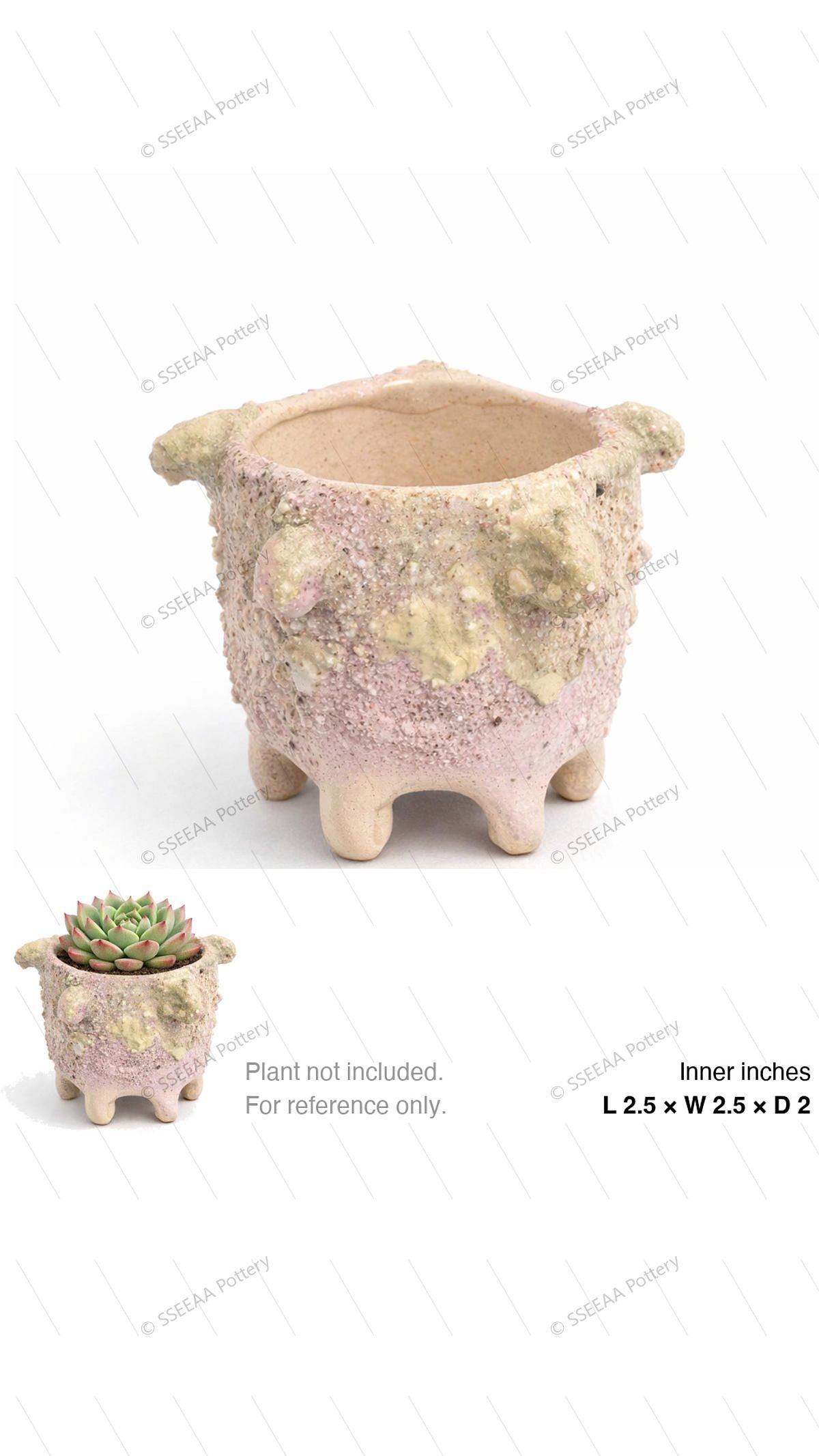 pottery_202601_funky_18 · L2.5 W2.5 H2