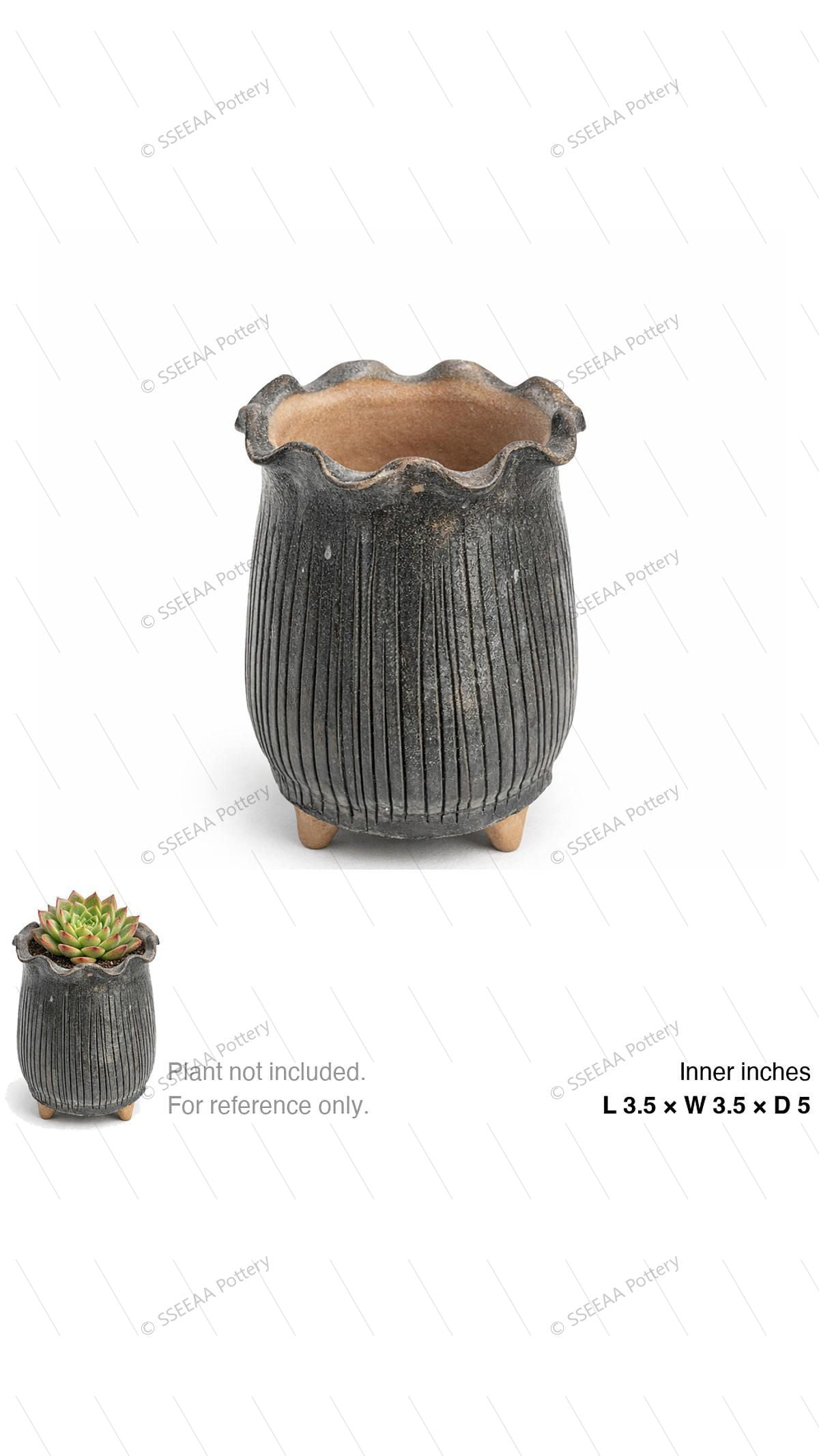 pottery_202601_forest_42 · L3.5 W3.5 H5