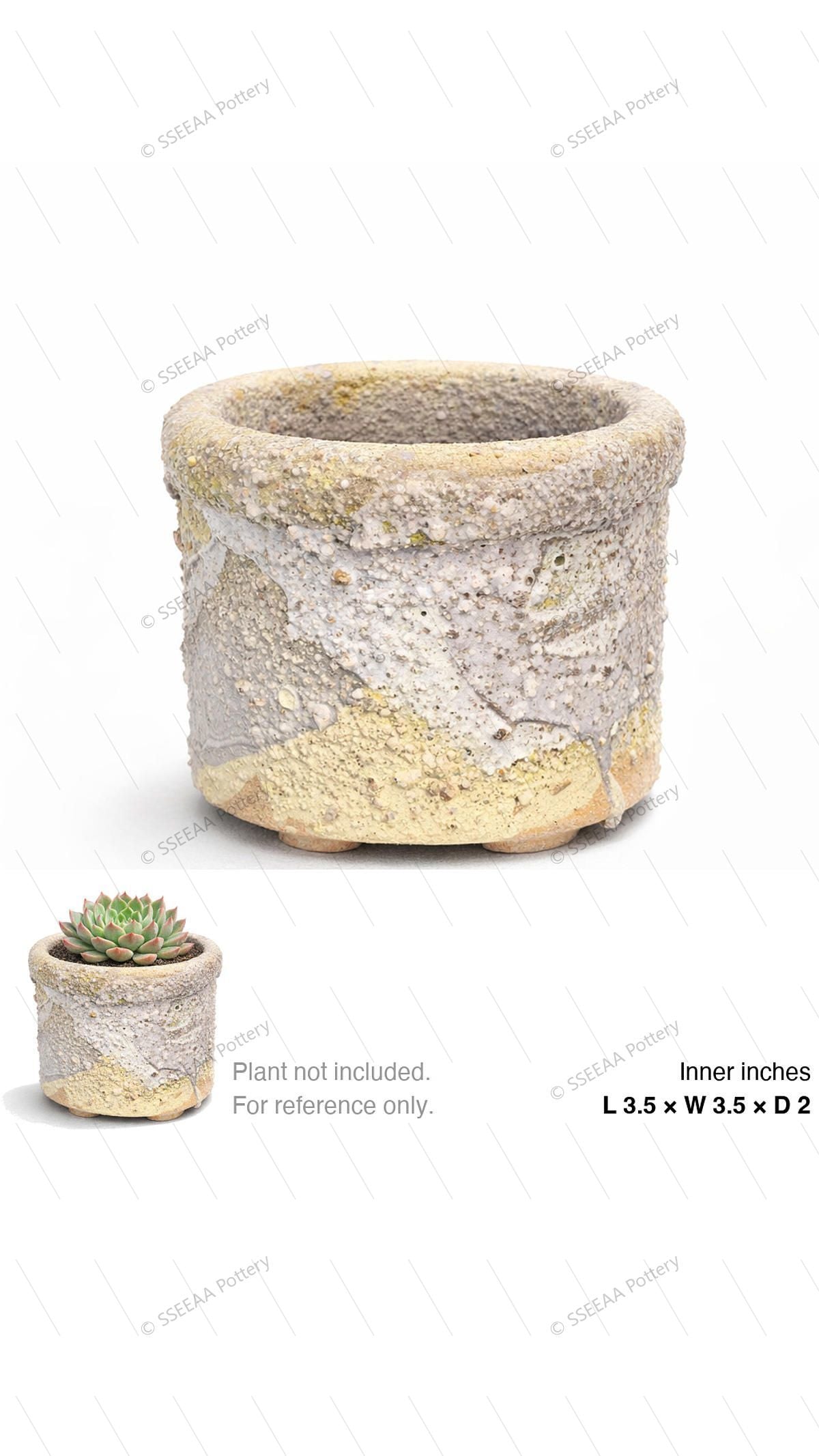 pottery_202601_glaze_40 · L3.5 W3.5 H2